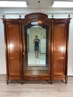 19th Century French Louis XVI Armoire Display Cabinet