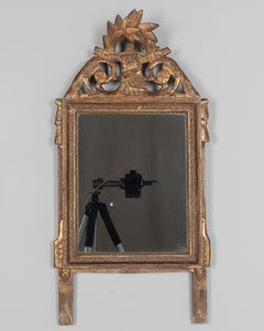 19th Century French Louis XVI Giltwood Mirror