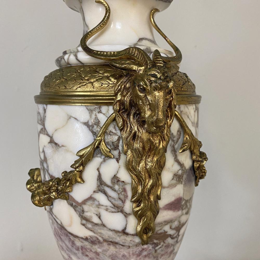 19th Century French Louis XVI Marble and Bronze Cassolette 5