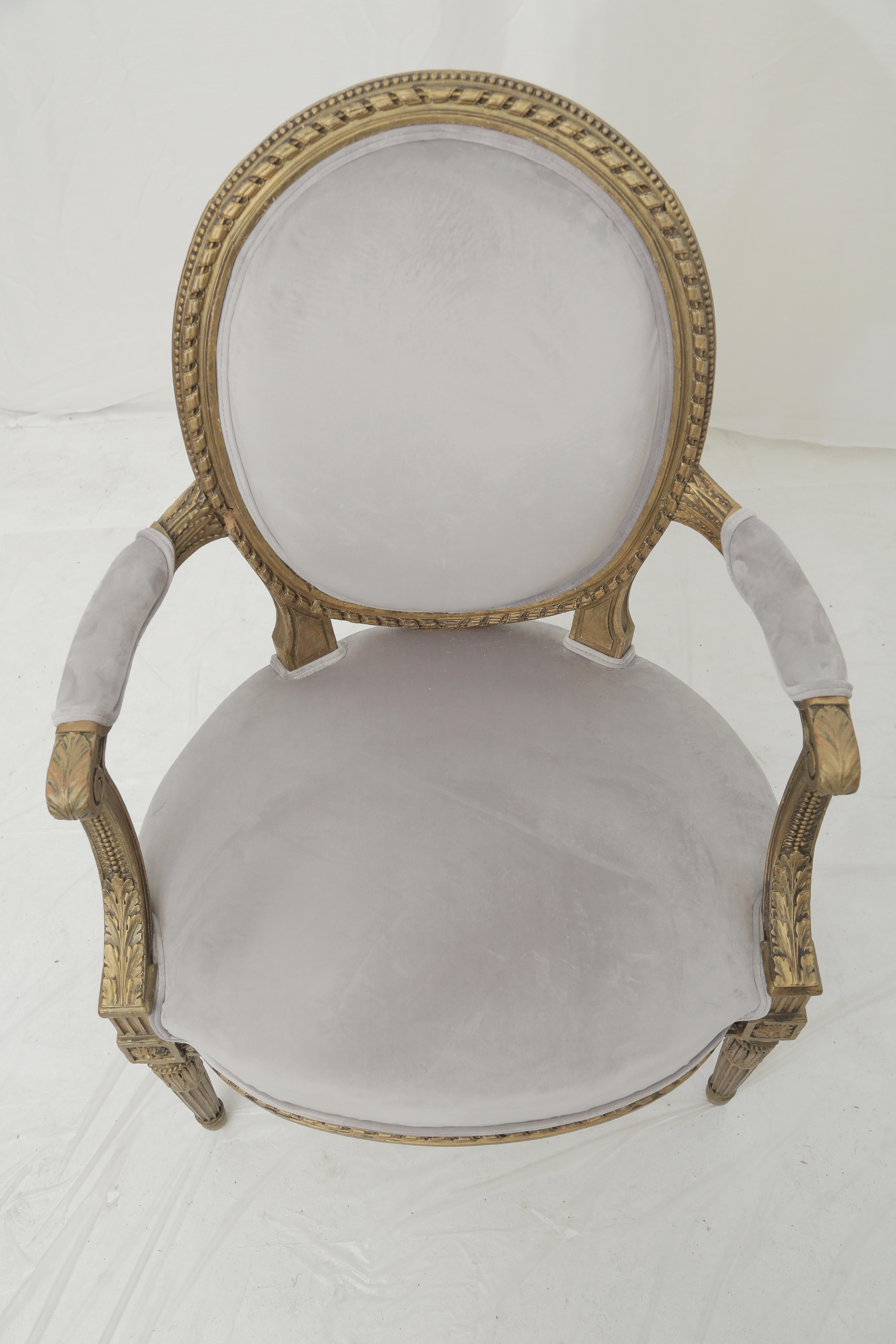 19th Century French Louis XVI Style Carved Giltwood & Pale Grey Suede Armchairs 6