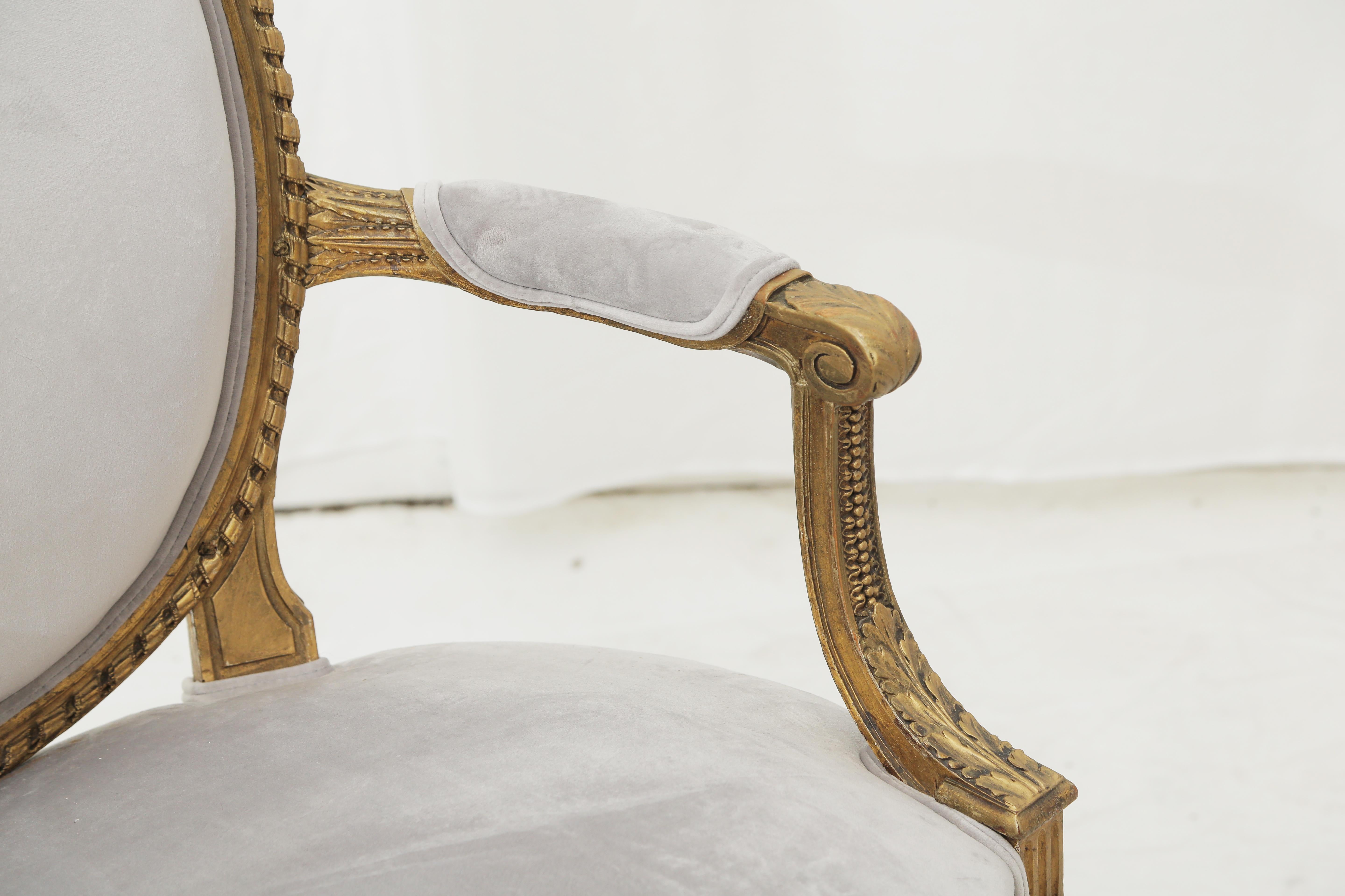 Beech 19th Century French Louis XVI Style Carved Giltwood & Pale Grey Suede Armchairs