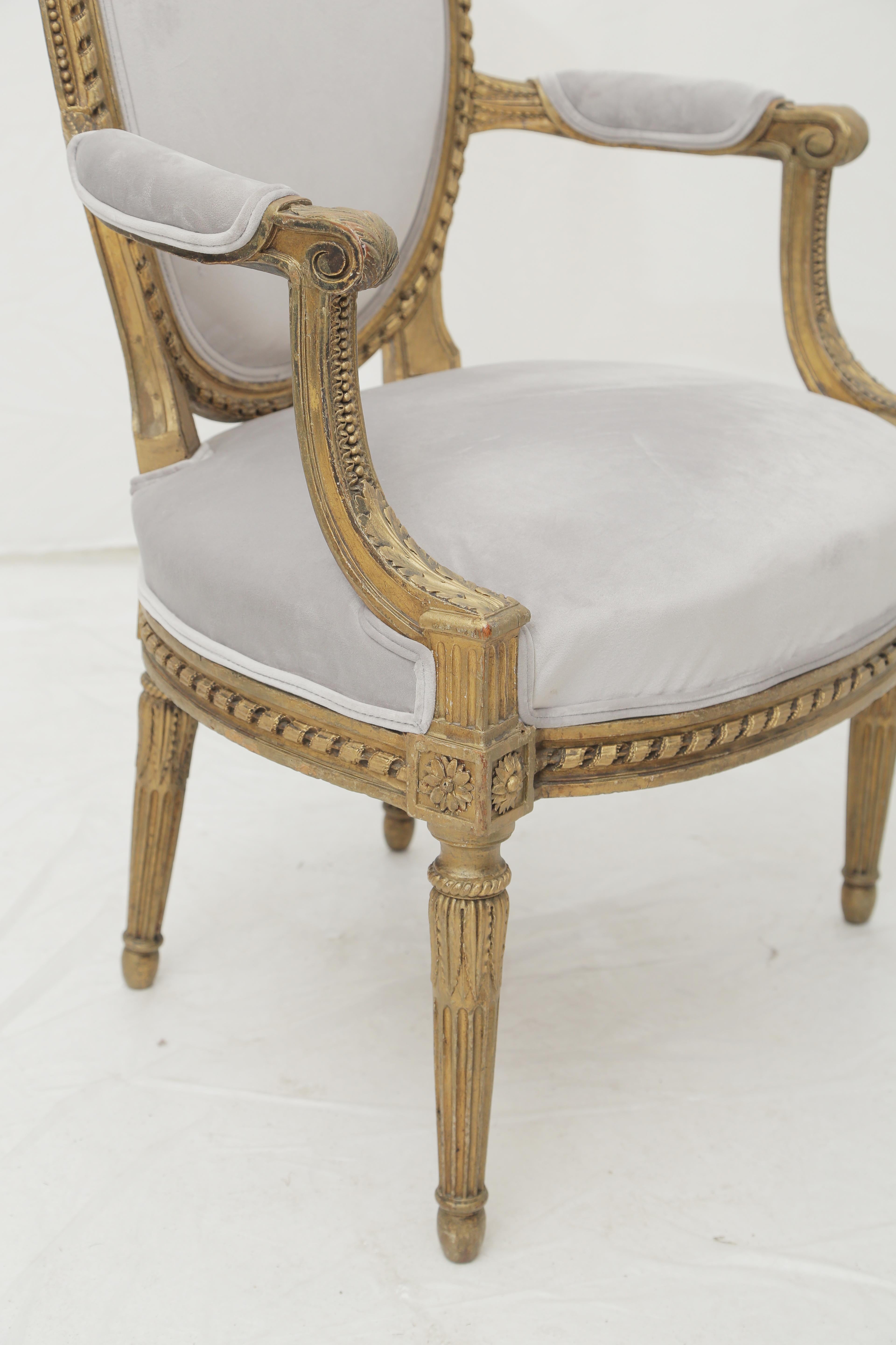 19th Century French Louis XVI Style Carved Giltwood & Pale Grey Suede Armchairs 1