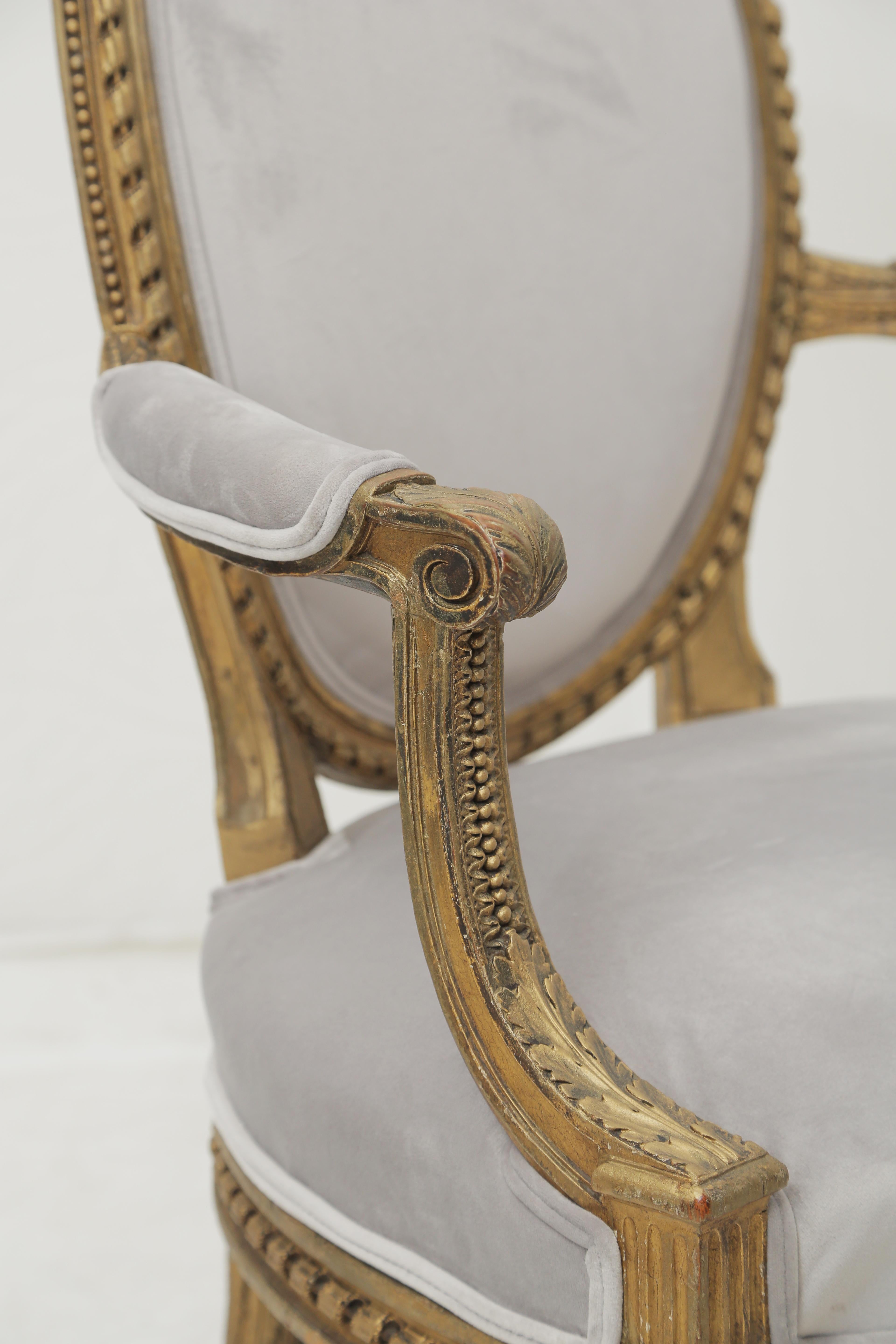 19th Century French Louis XVI Style Carved Giltwood & Pale Grey Suede Armchairs 2