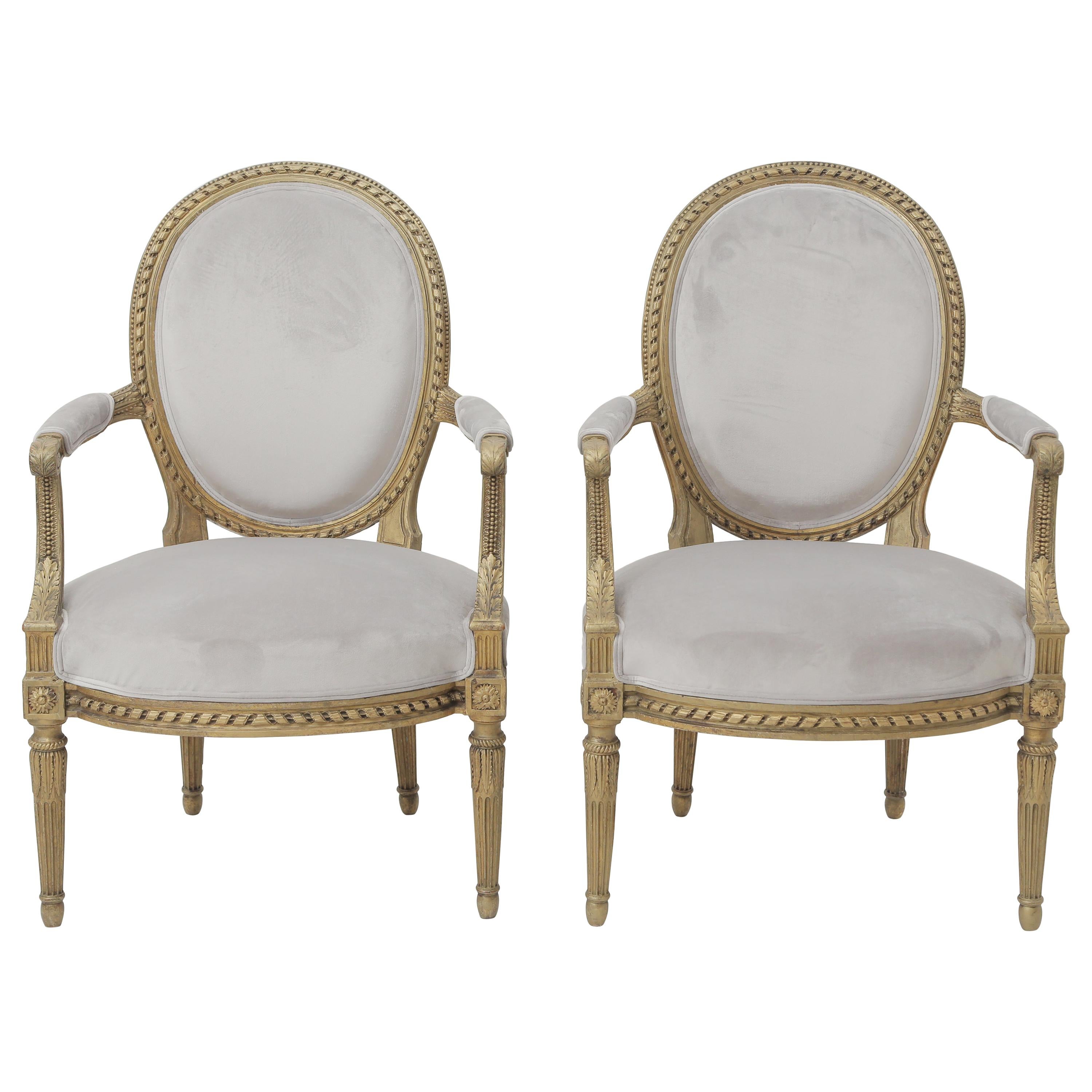 19th Century French Louis XVI Style Carved Giltwood & Pale Grey Suede Armchairs