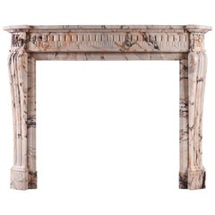 19th Century French Louis XVI Style Fireplace in Veined Marble
