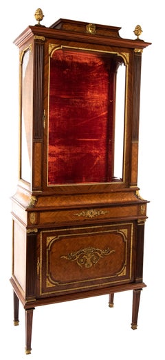 19th Century French Louis XVI Style Vitrine by A. Bastet, Lyon