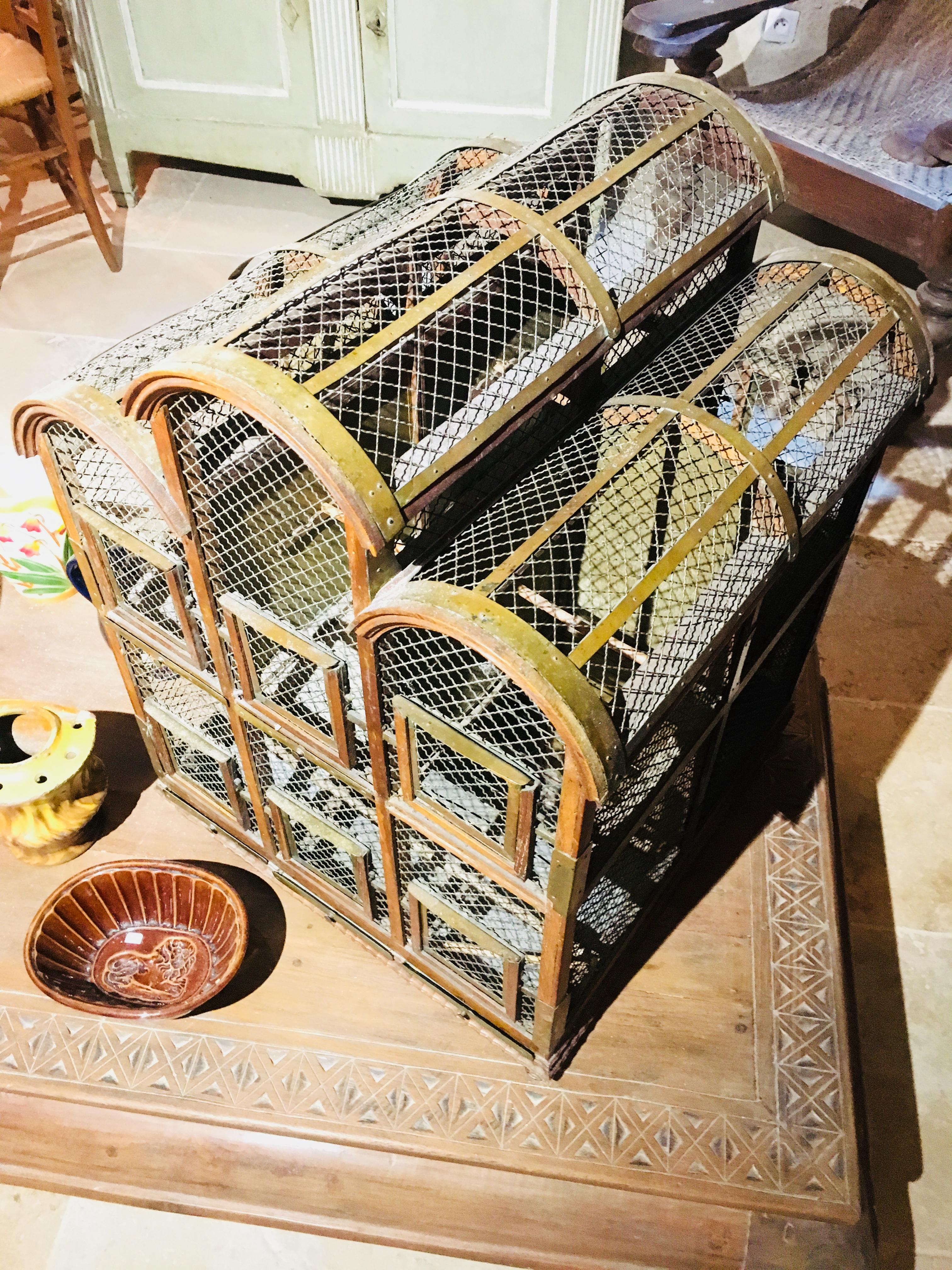19th Century French Mahogany Architectural Bird Cage with Brass Elements In Good Condition In Sofia, BG