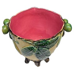 19th Century French Majolica Chesnut Jardinière