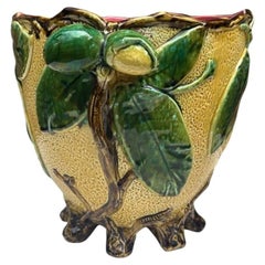 19th Century French Majolica Chesnut Jardinière