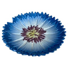 19th Century French Majolica Cornflower Plate Delphin Massier