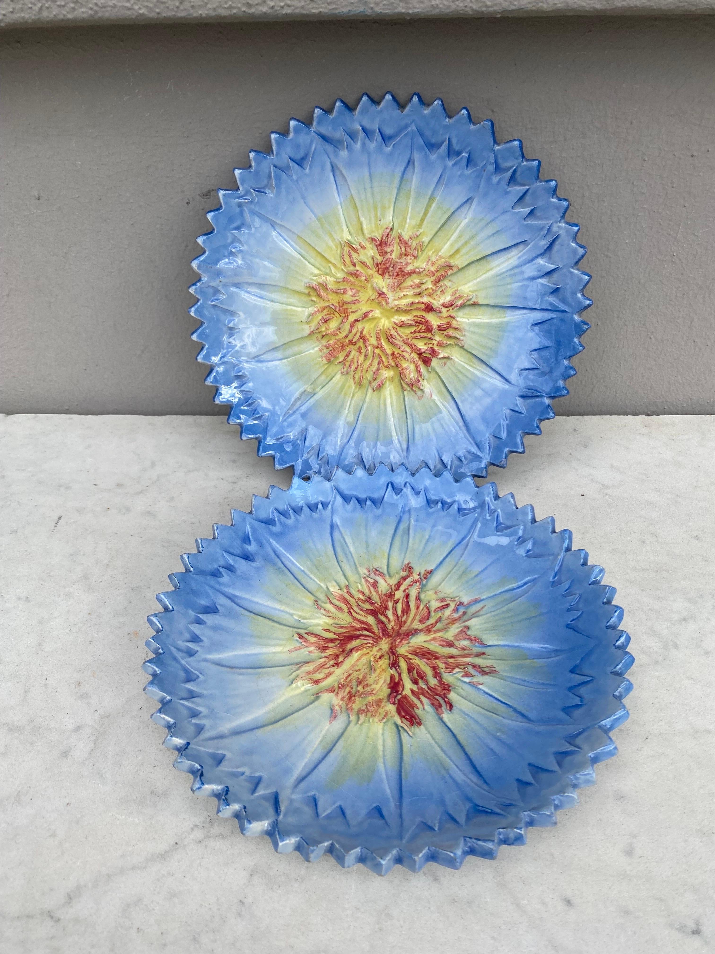 Late 19th Century 19th Century French Majolica Cornflower Plate Delphin Massier