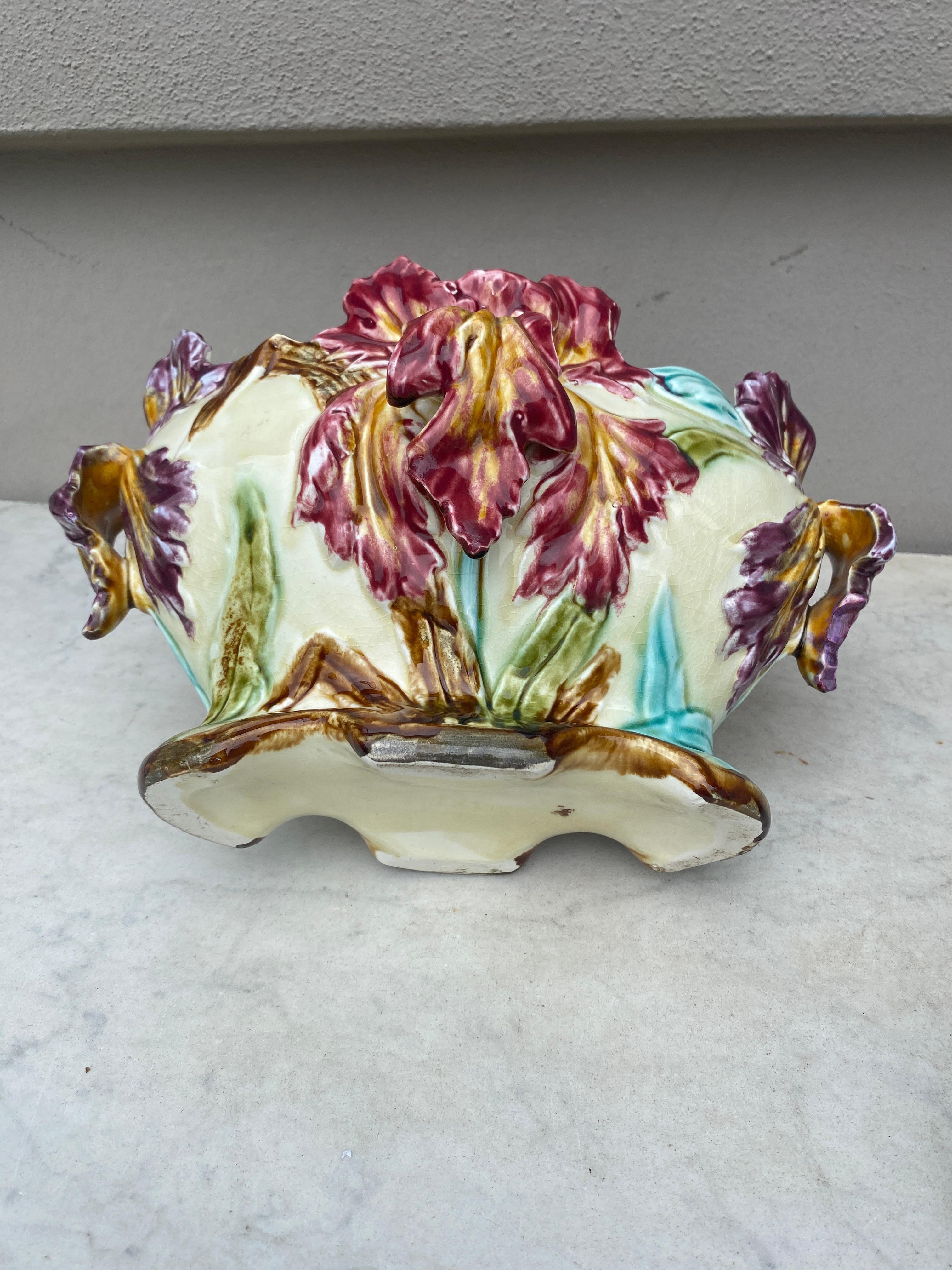 Ceramic 19th Century French Majolica Iris Jardiniere Onnaing For Sale