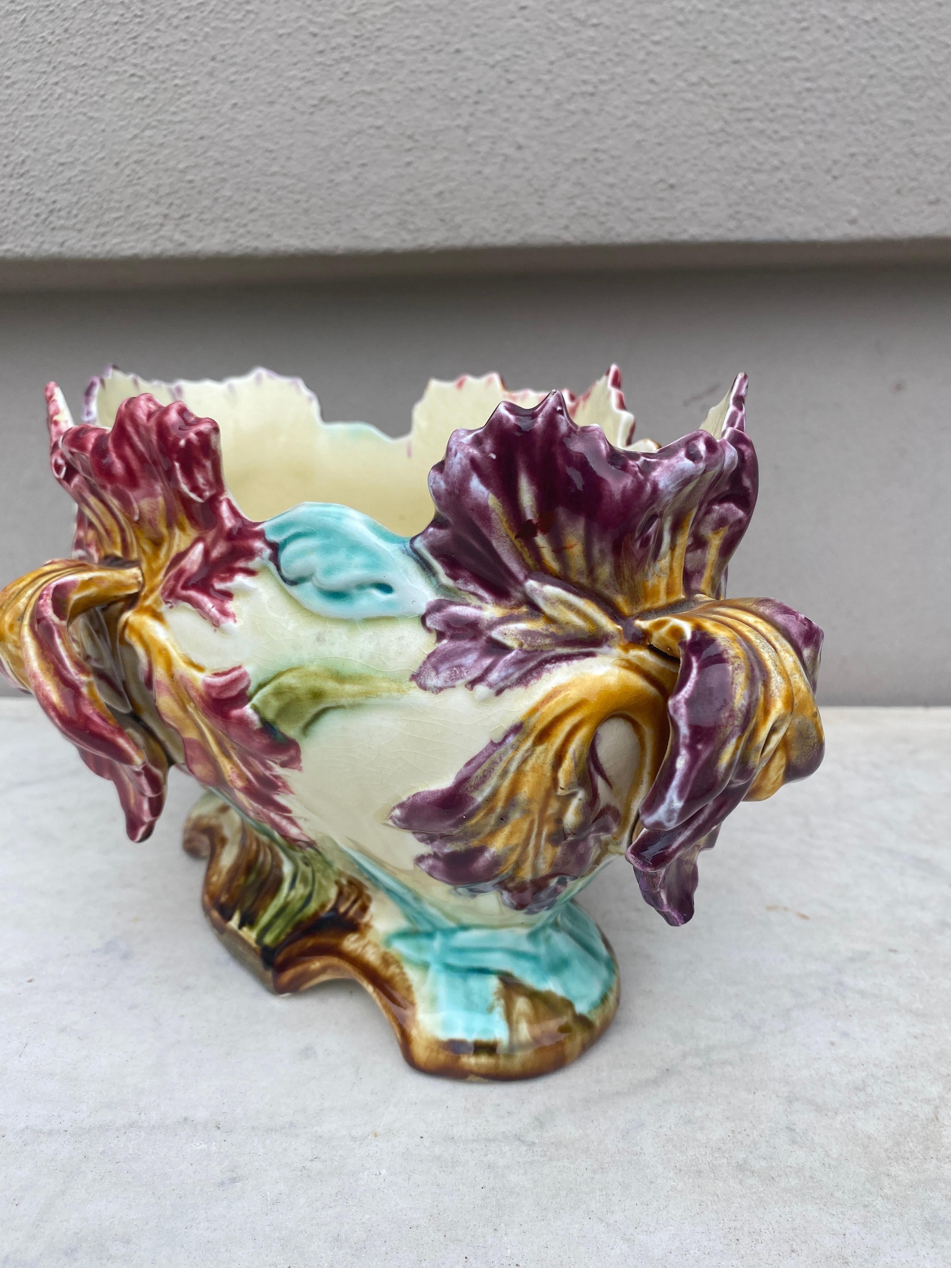 Céramique Jardinière à iris en majolique française du 19ème siècle Onnaing en vente