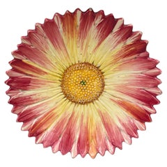 19th Century French Majolica Pink Daisy Plate by Delphin Massier