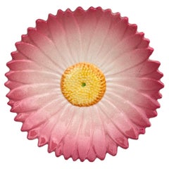 19th Century French Majolica Pink Daisy Plate by Delphin Massier
