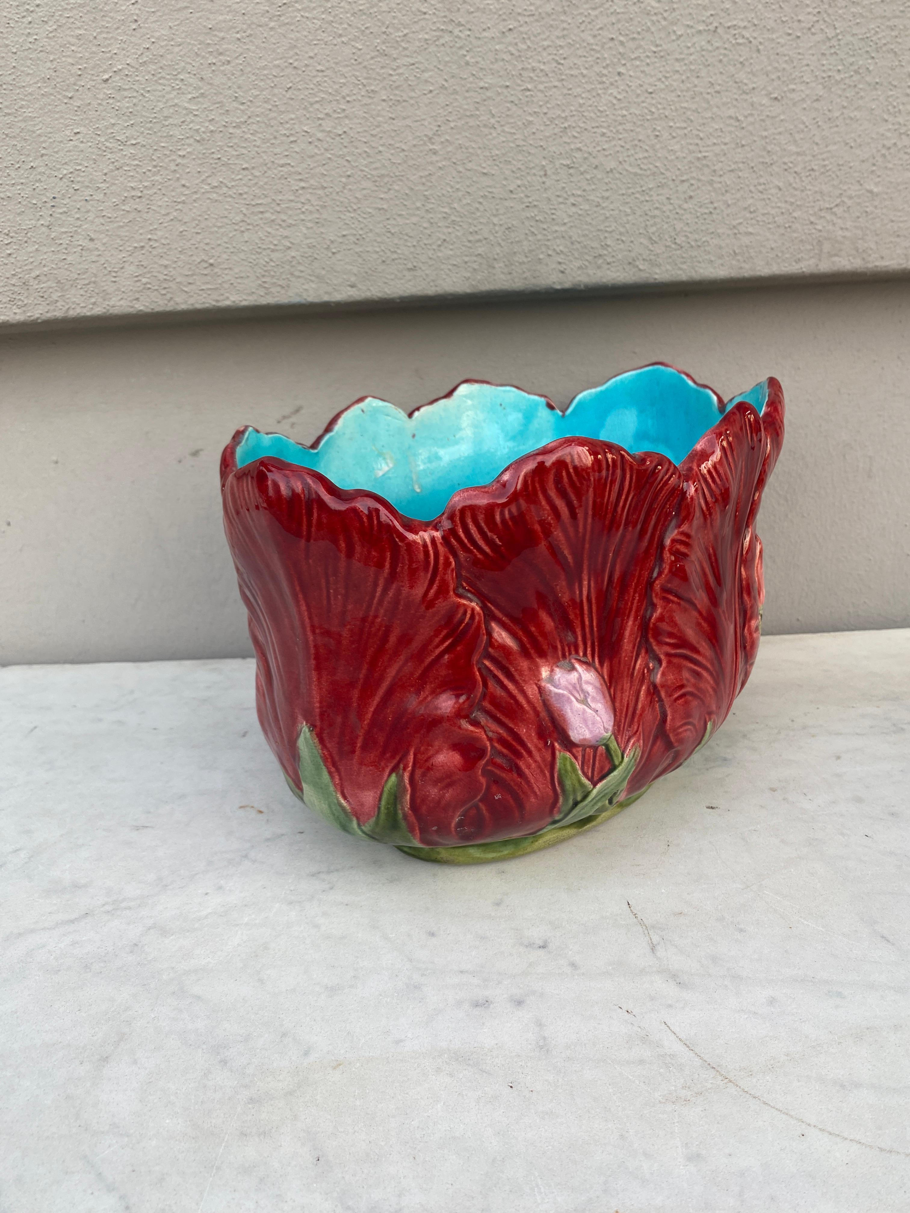 19th century French Majolica Red Tulip Jardiniere.
North of France.