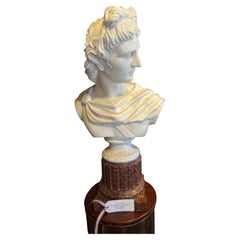 19th Century French Marble Bust Sculpture of Apollo