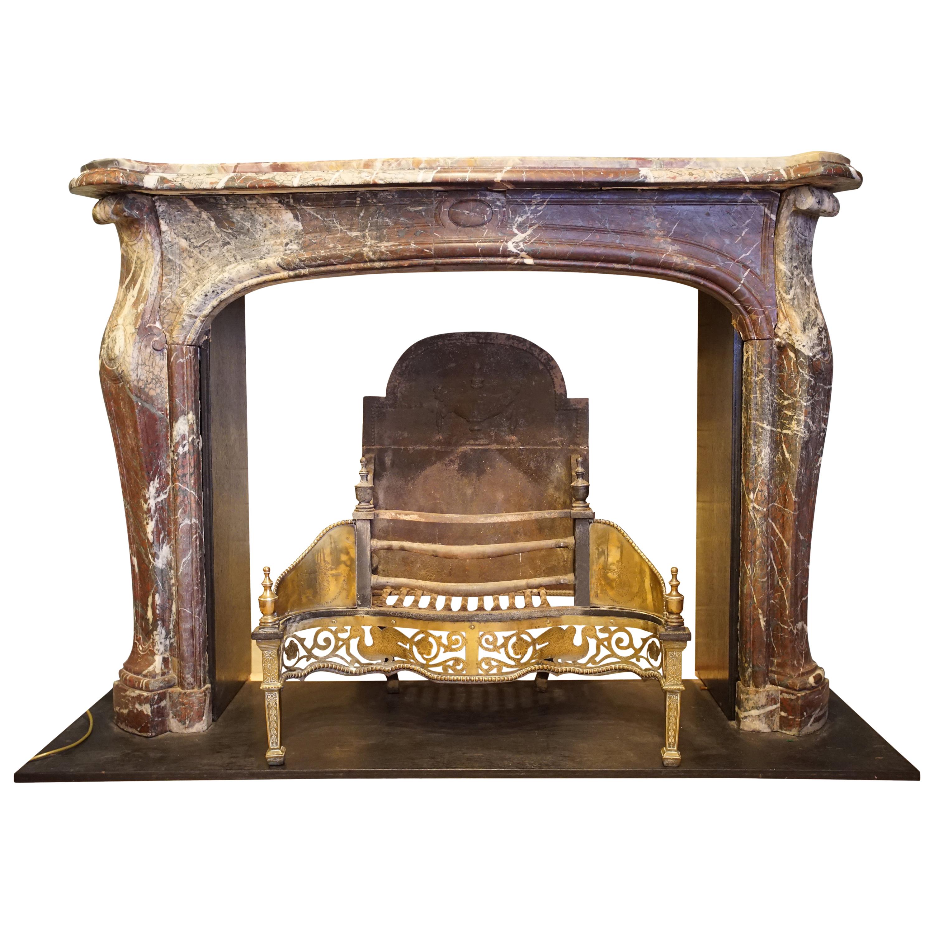 19th Century French Marble Fireplace For Sale