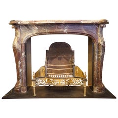 19th Century French Marble Fireplace
