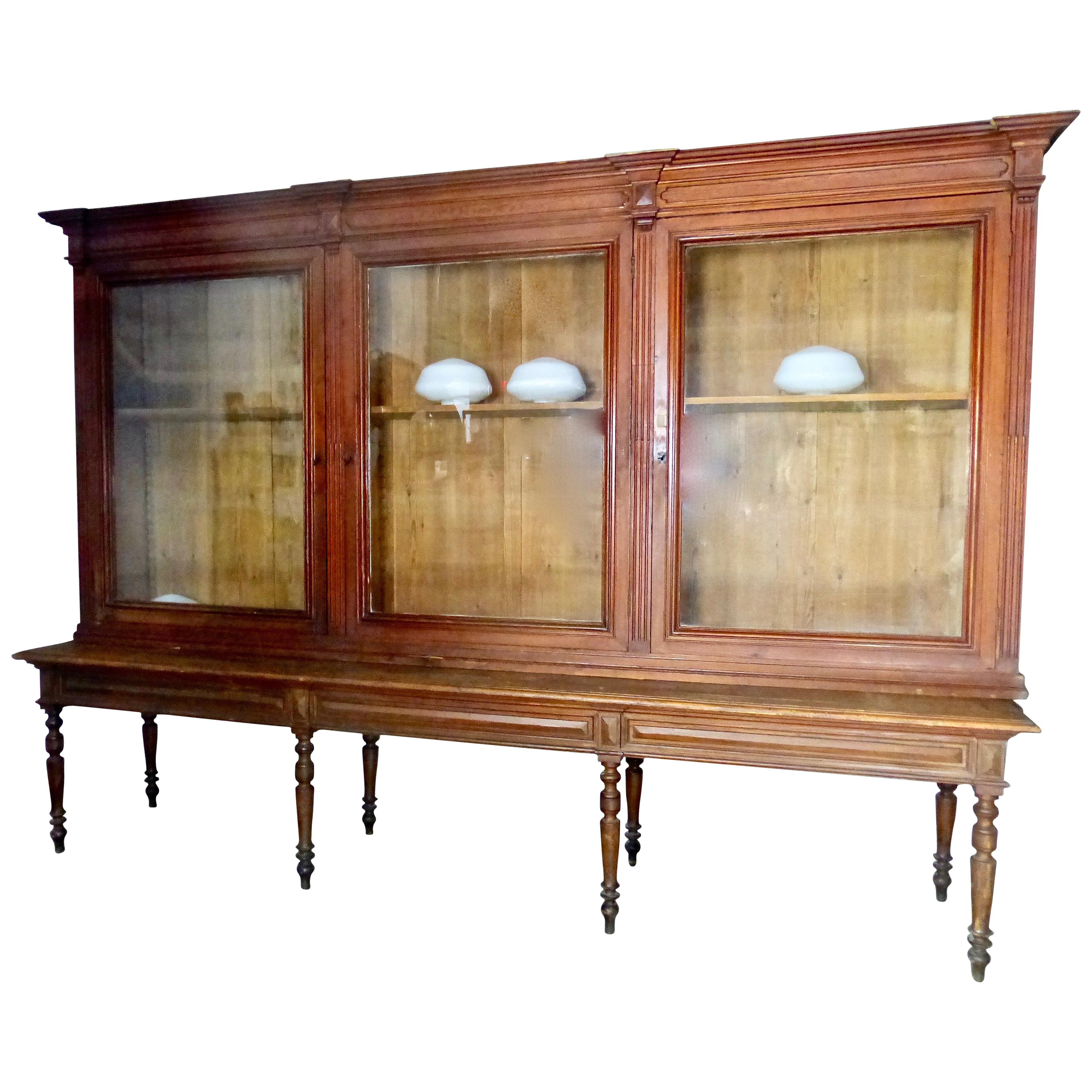 19th Century French Mercantile/Library Cabinet