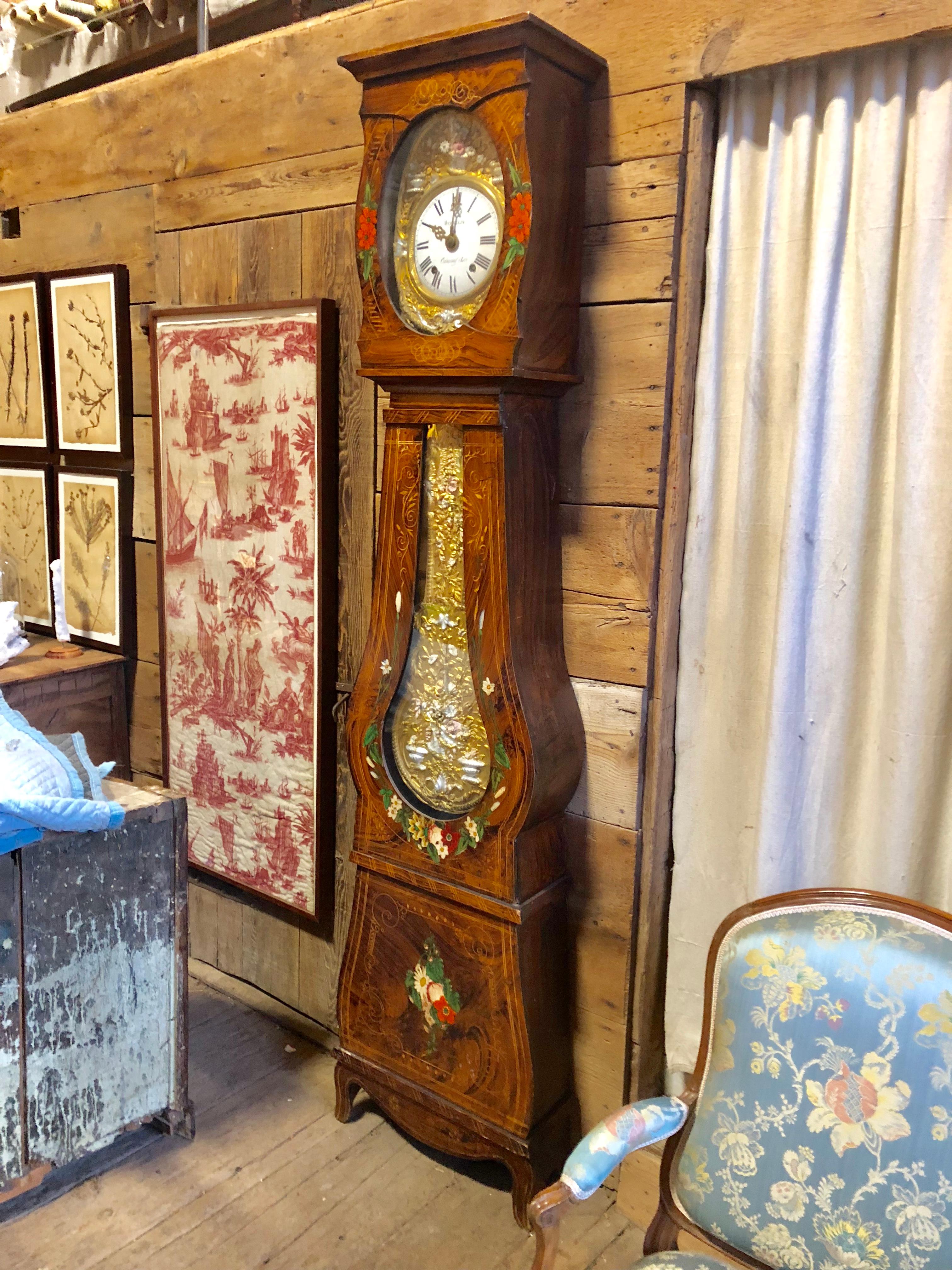 19th Century French Morbier Tall Case Clock 5