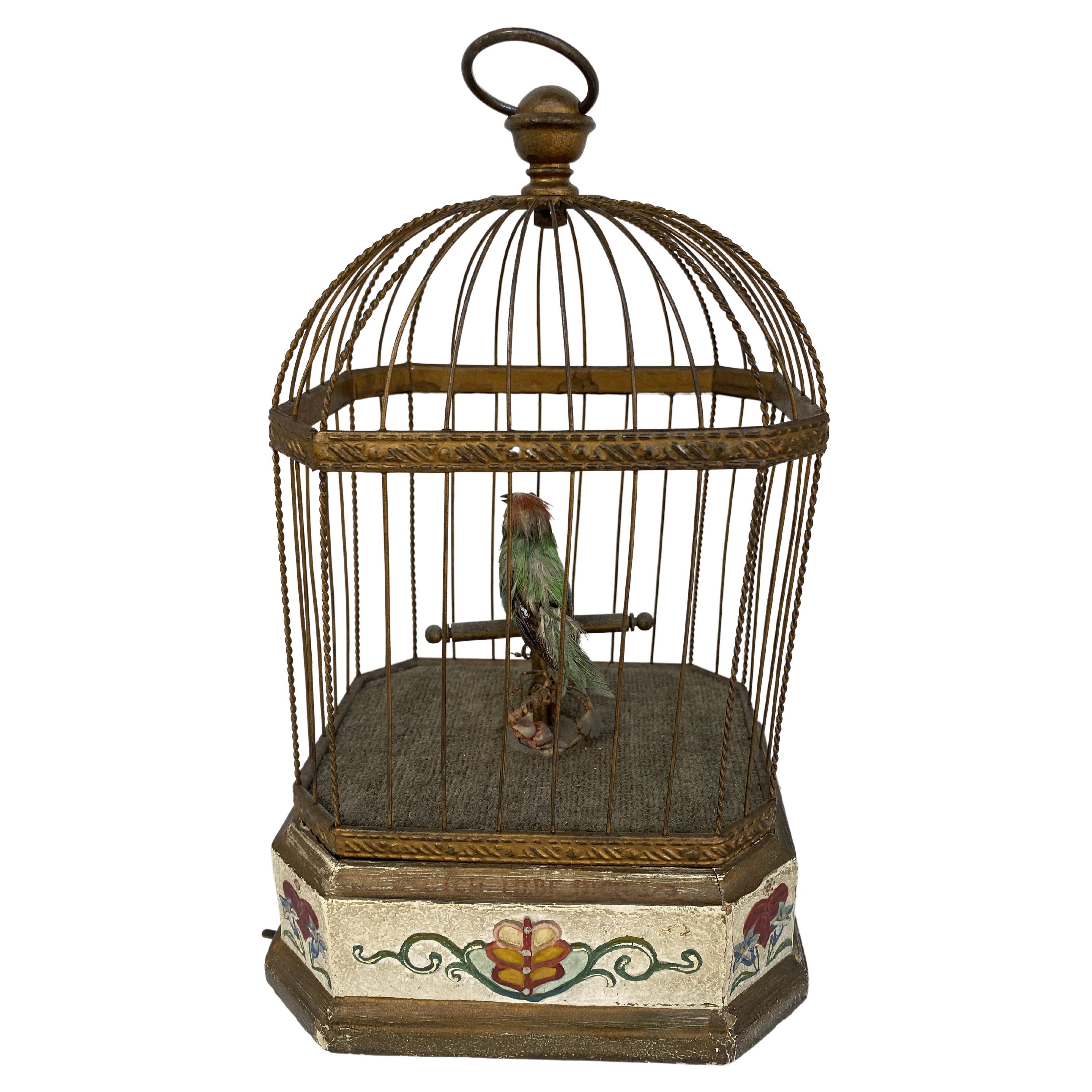 19th Century French Musical & Animated Rectangle Birdcage For Sale