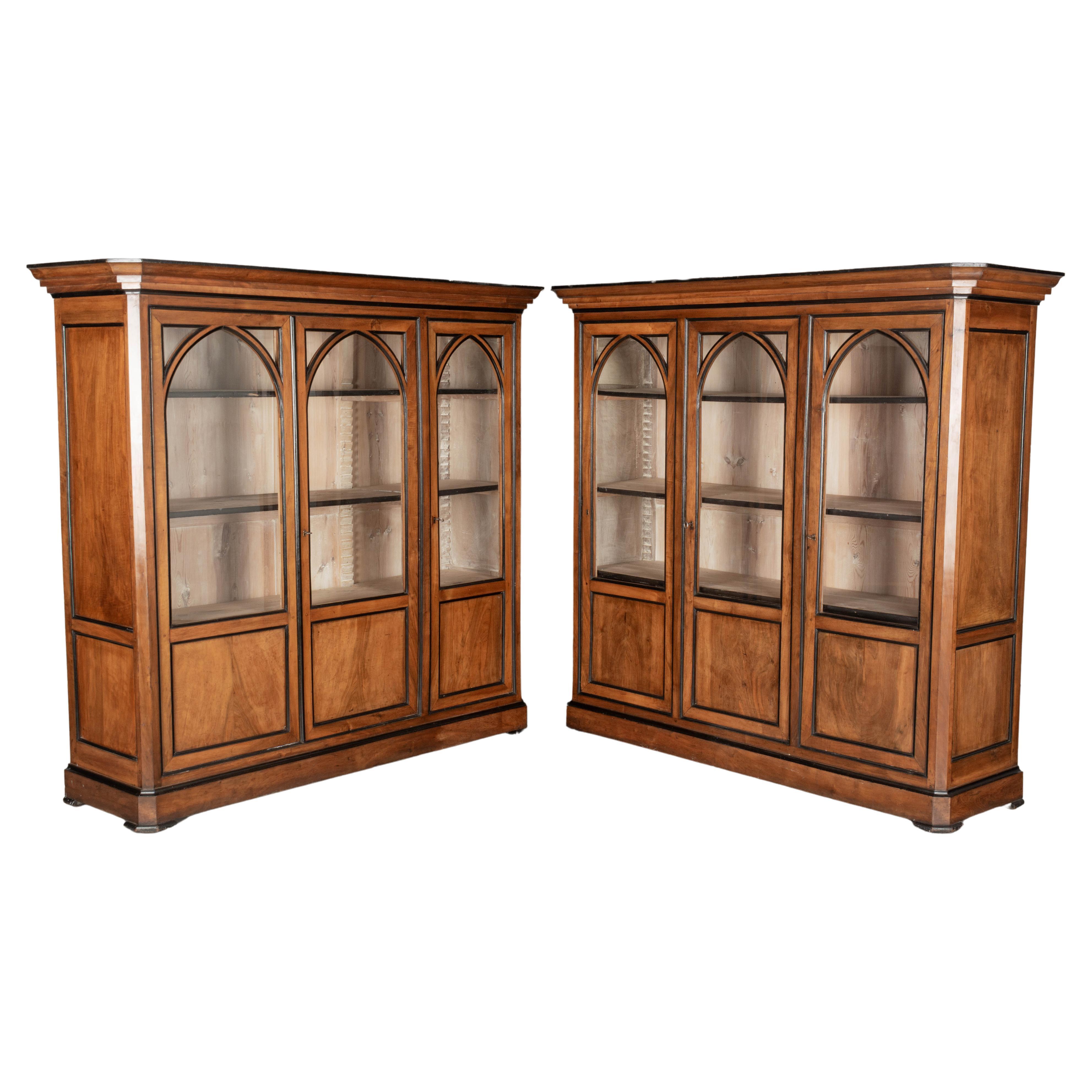 19th Century French Napoleon III Bibliotheque or Bookcase, a Pair