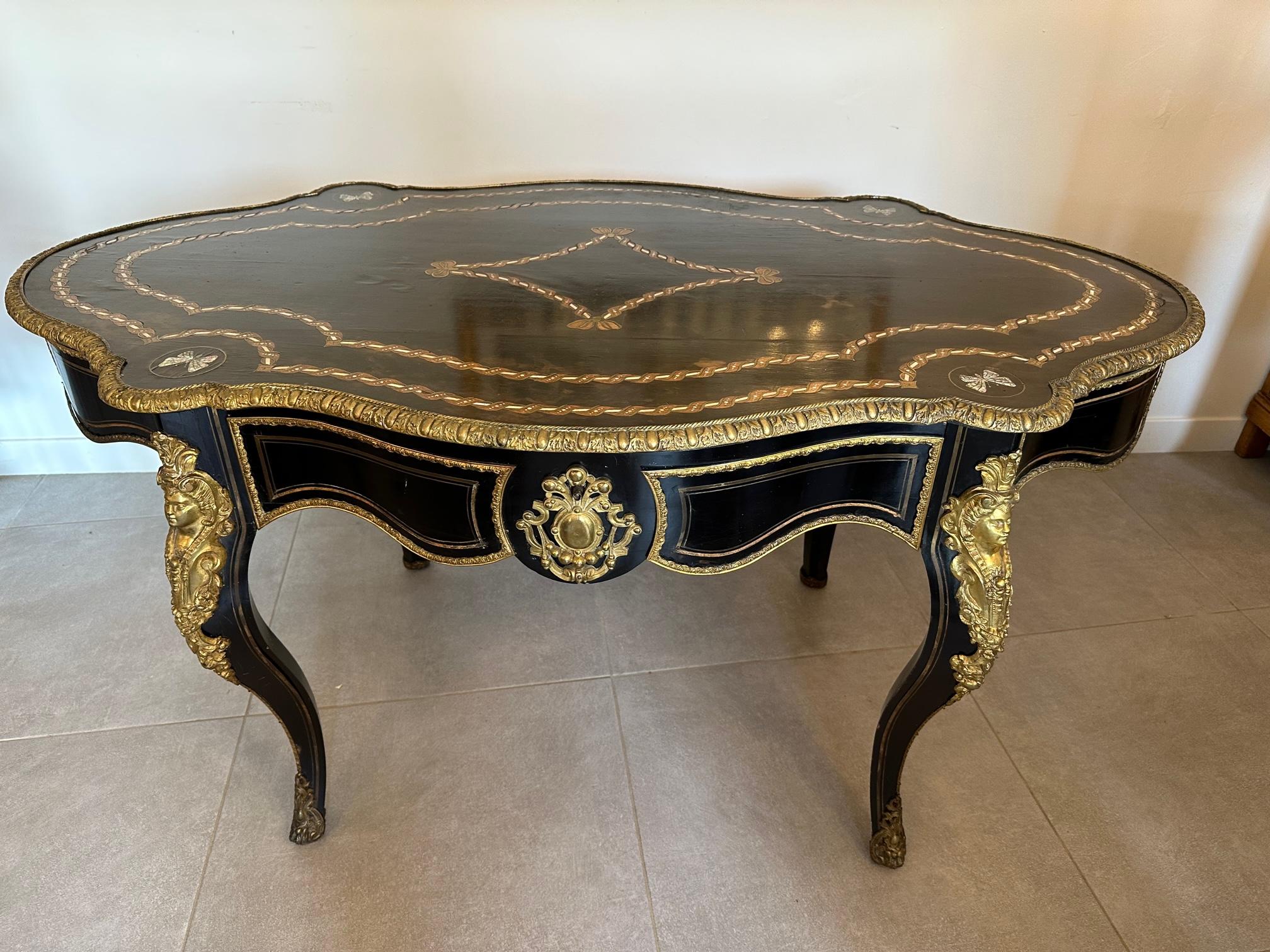 19th century French Napoleon III Blackened Pear and Bronze Desk 16