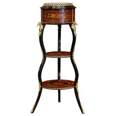 19th Century, French Napoleon III Inlay Rosewood and Brass Mounts Plant Stand 