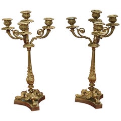 19th Century French Napoleon III Pair of Candelabras in Gilded Bronze 4 Arms