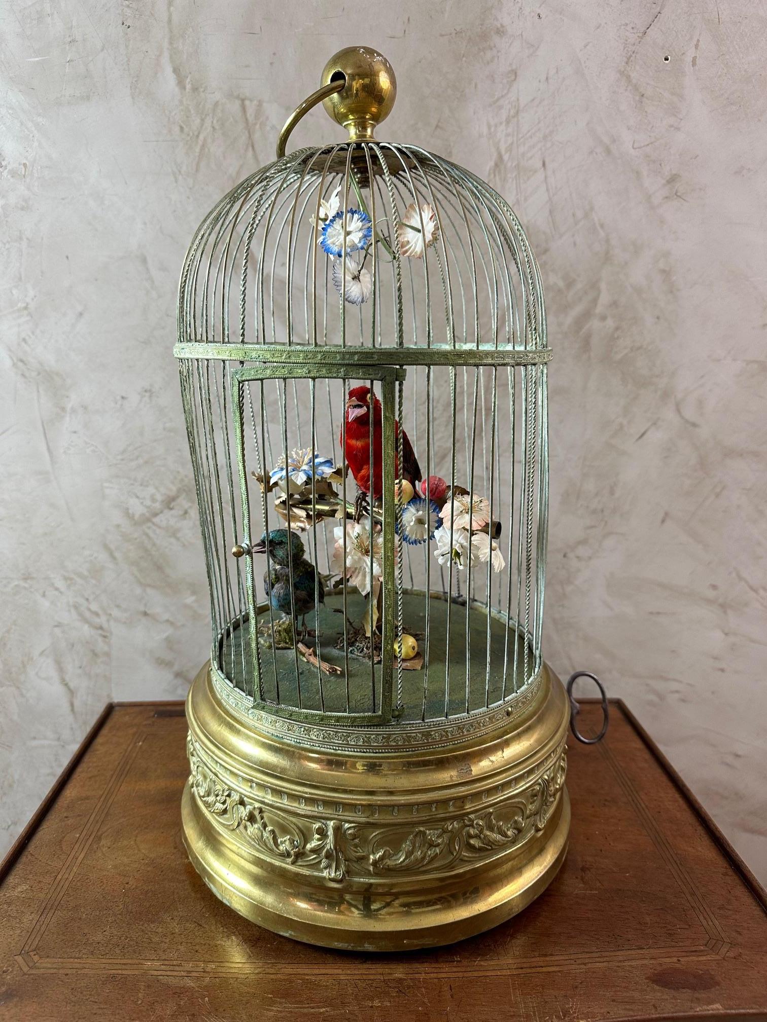 Bellissima gabbia in filo d'ottone con base in ottone decorata con filigrana repousse, con due uccelli nella gabbia che cantano alternativamente muovendo la testa. 
C'è una porta che si apre. 
In buone condizioni e con un'etichetta sul fondo