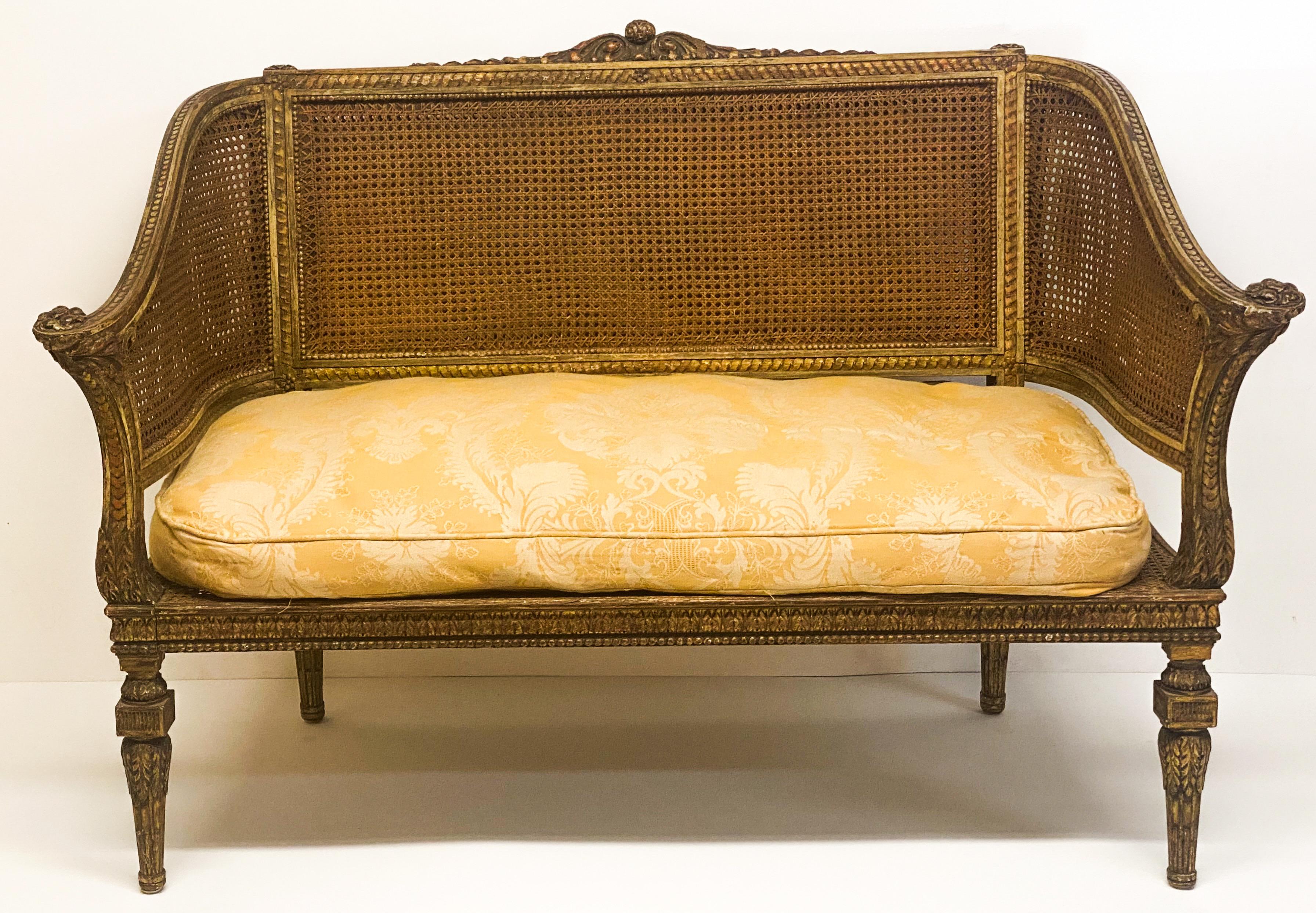 19th Century French Napoleonic Double Caned and Giltwood Settee 4