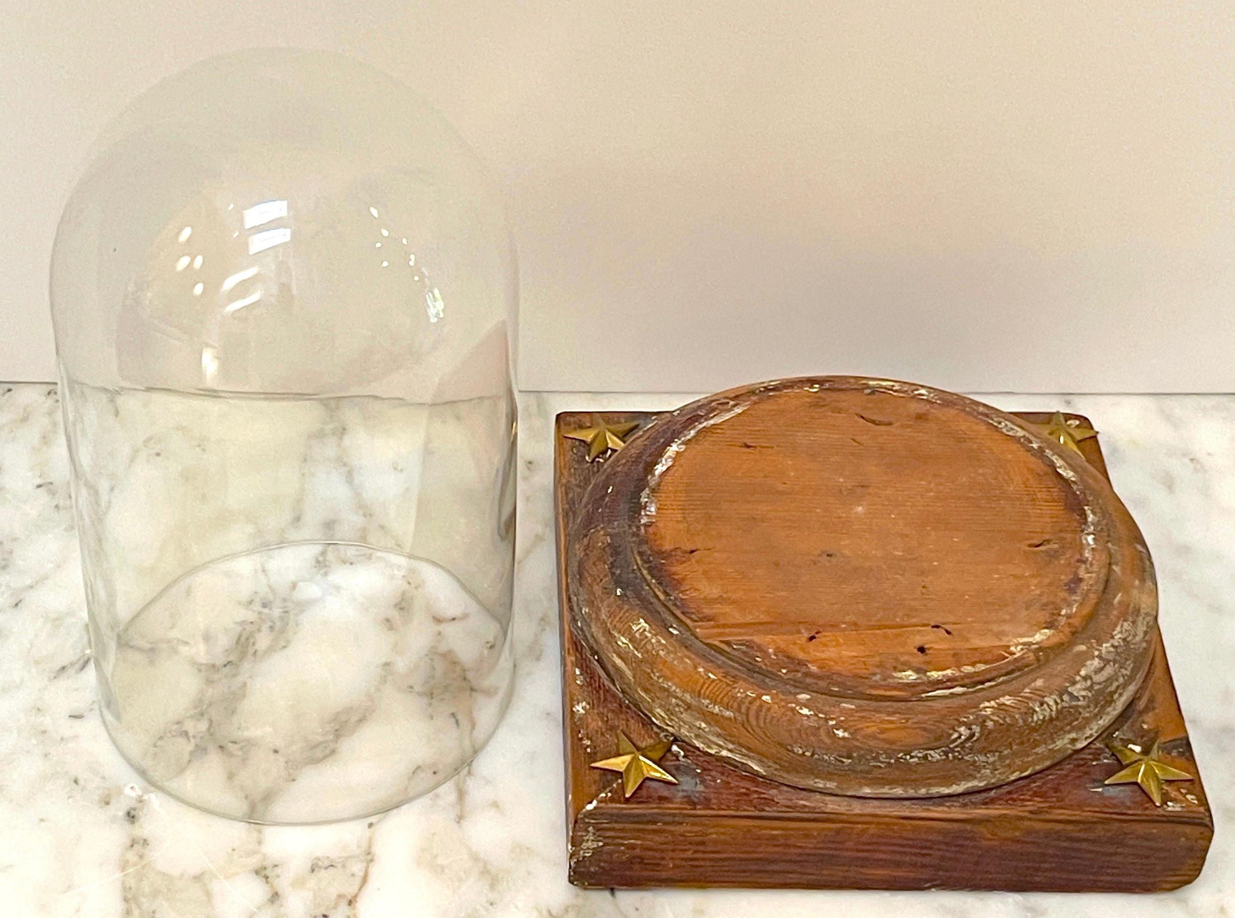 19. Jahrhundert Französisch neoklassischen Distressed Holz & Glas Cloche / Kuppel  im Angebot 2