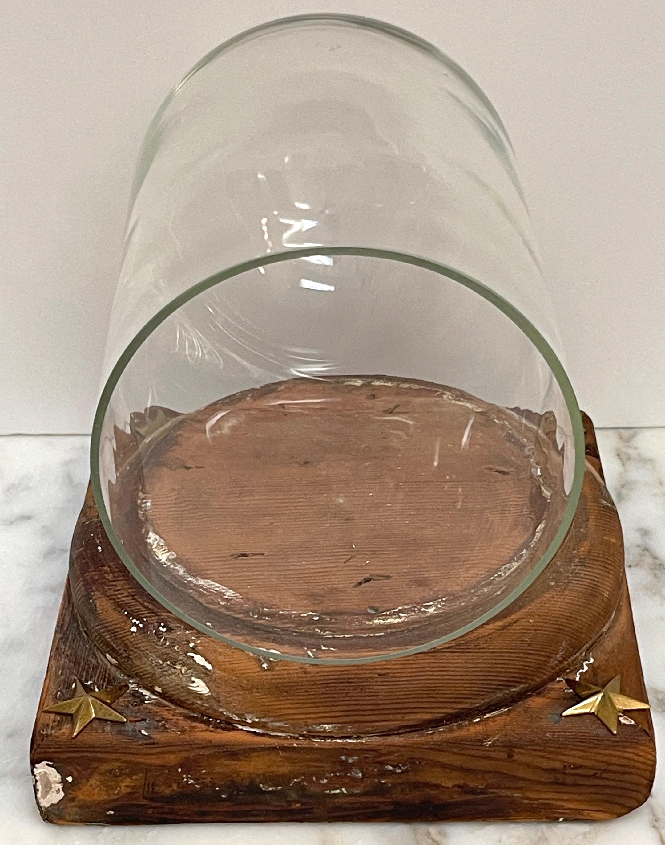 19th Century French Neoclassical Distressed Wood & Glass Cloche/Dome  For Sale 2