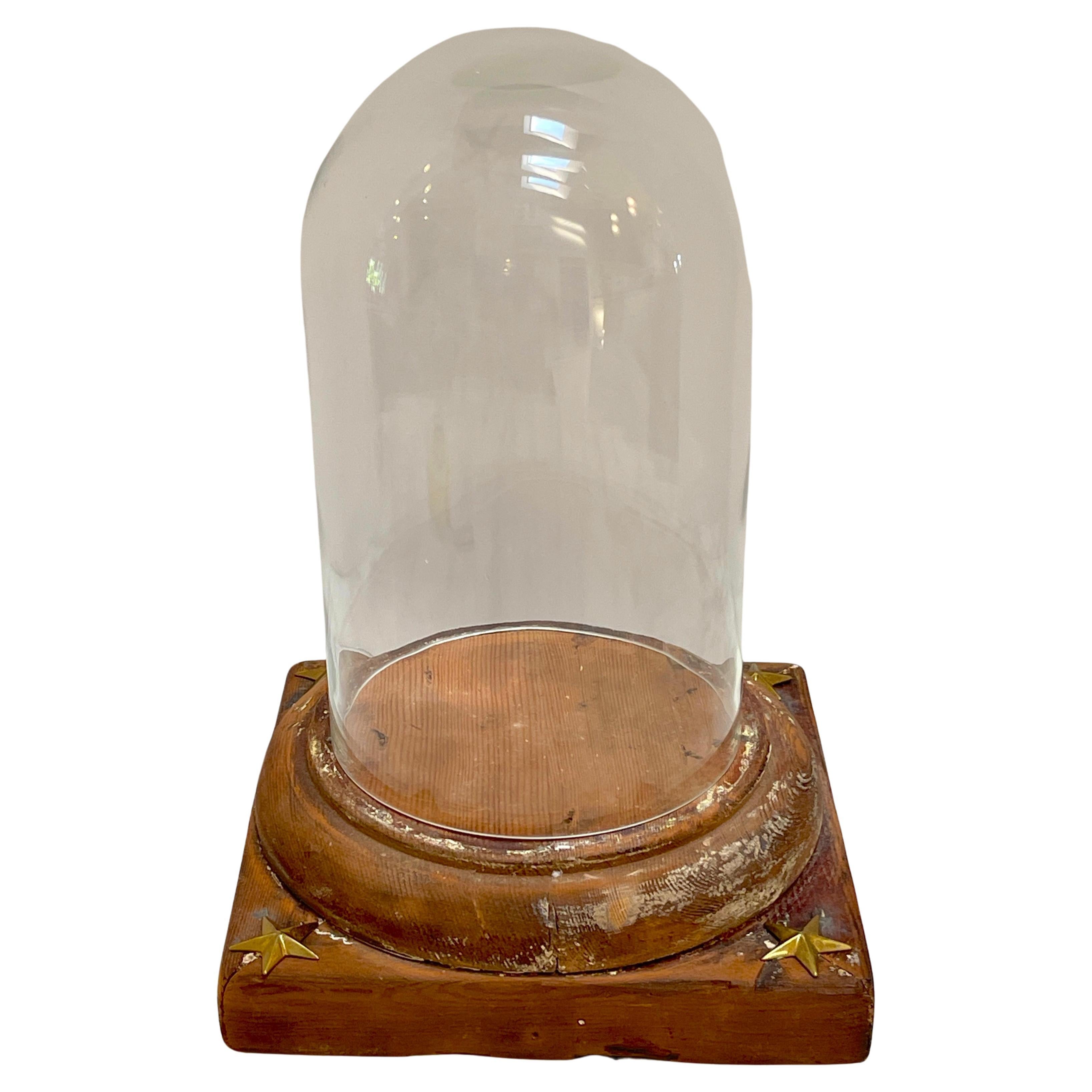 19th Century French Neoclassical Distressed Wood & Glass Cloche/Dome 