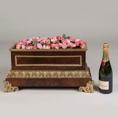 19th Century French Neoclassical Ormolu-Mounted Mahogany Jardinière