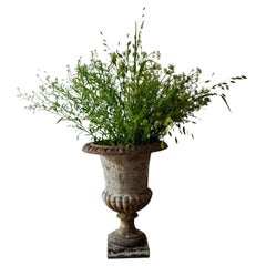 19th Century French Neoclassical Style Iron Garden Urn
