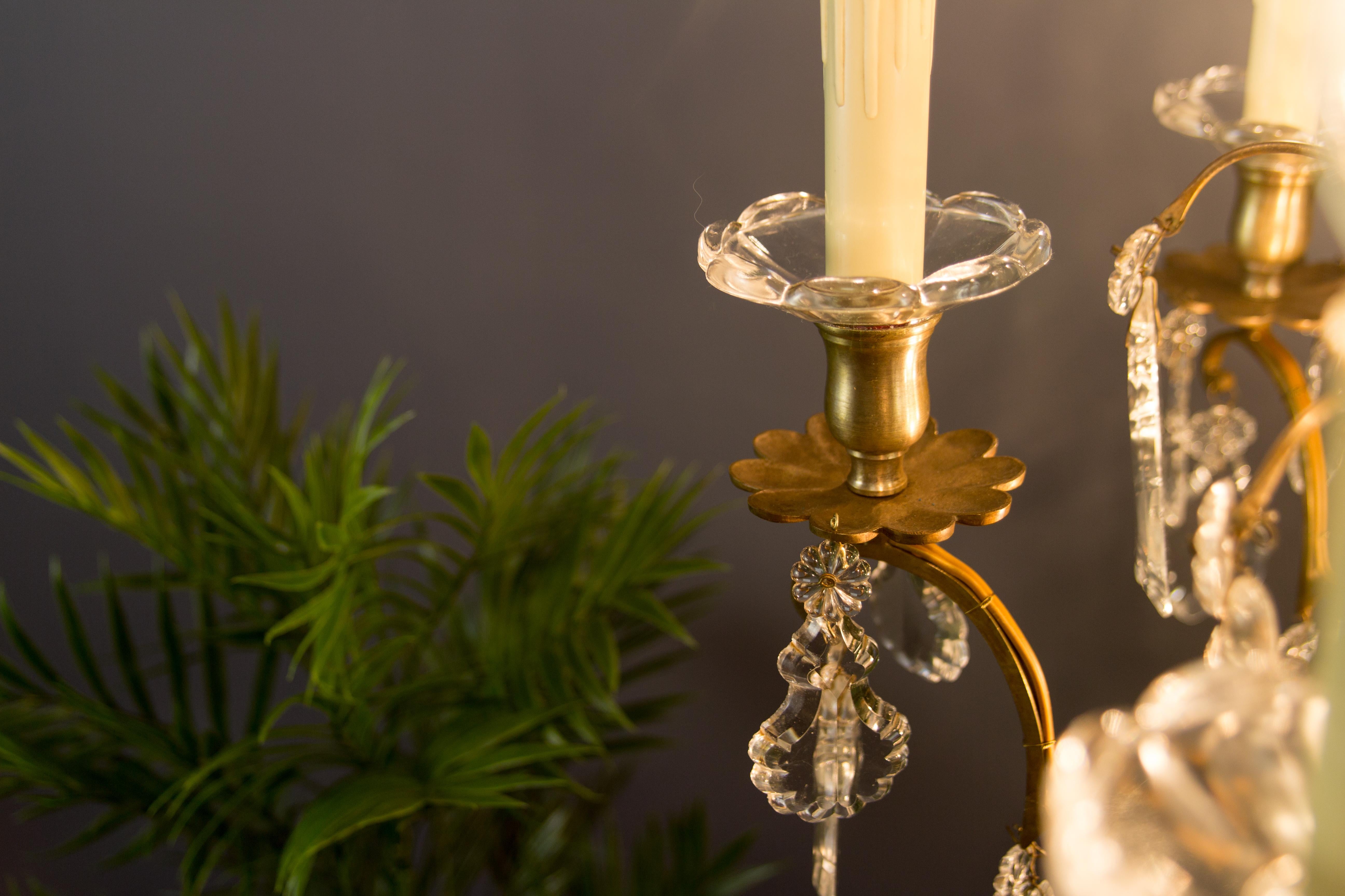 19th Century French Nine–Light Brass and Crystal Chandelier 7