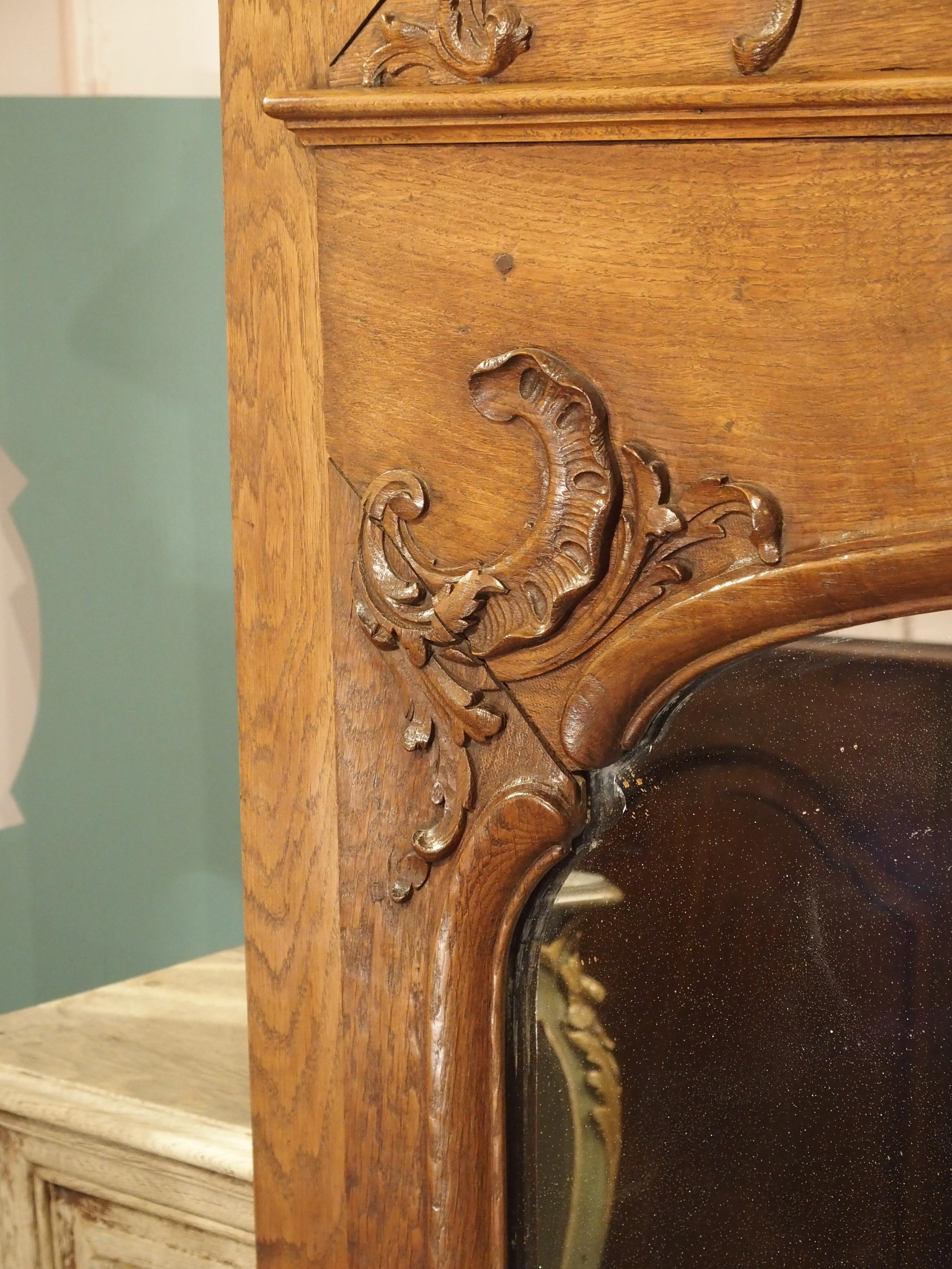 Hand-Carved 19th Century French Oak Trumeau Mirror