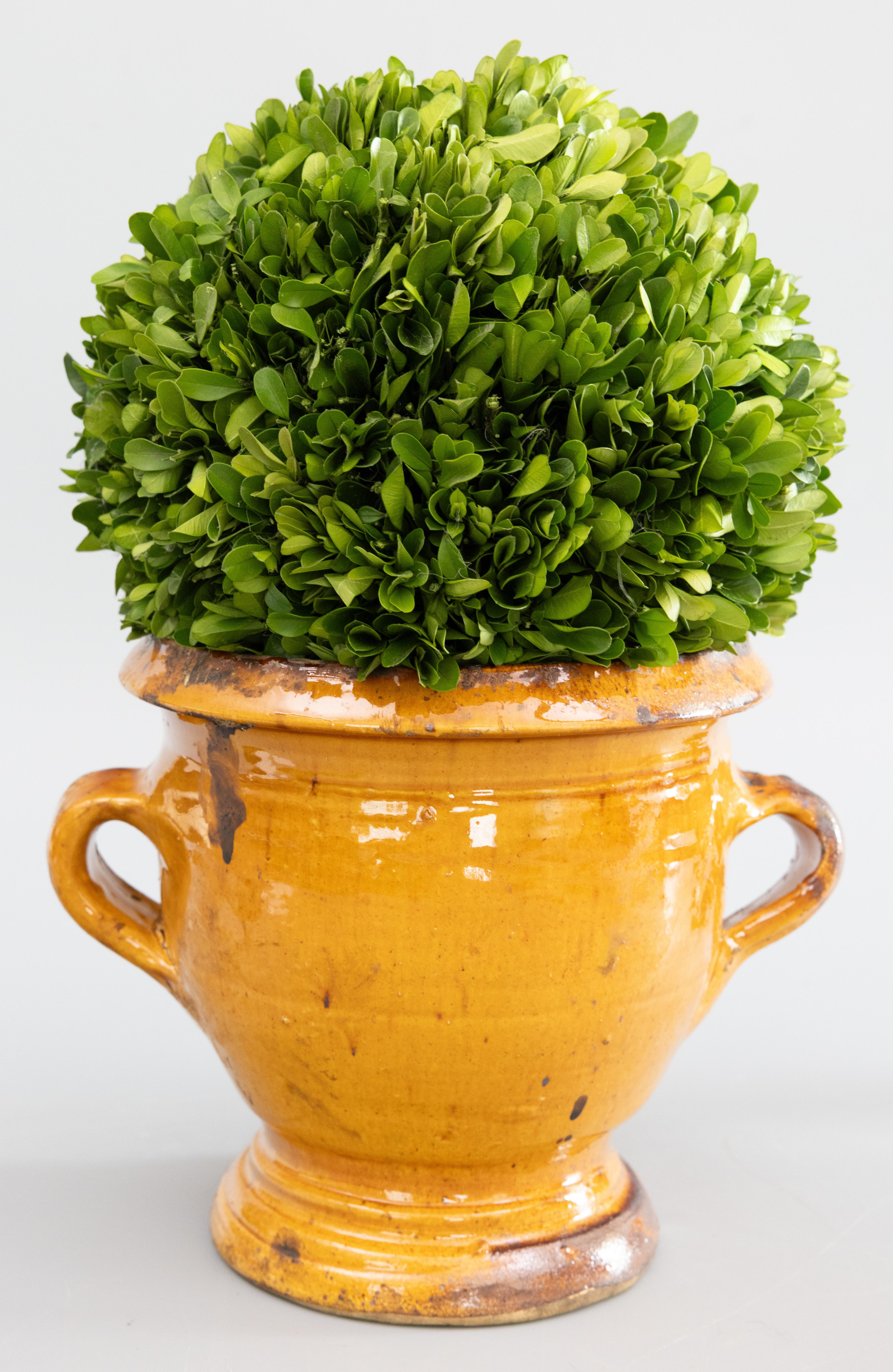 A lovely antique 19th-Century ocher yellow glazed terracotta pottery Provençal planter / jardiniere / urn from Provence in southeastern France. There is a drainage hole on the base. This charming planter is hand thrown with handles known as 'ears'