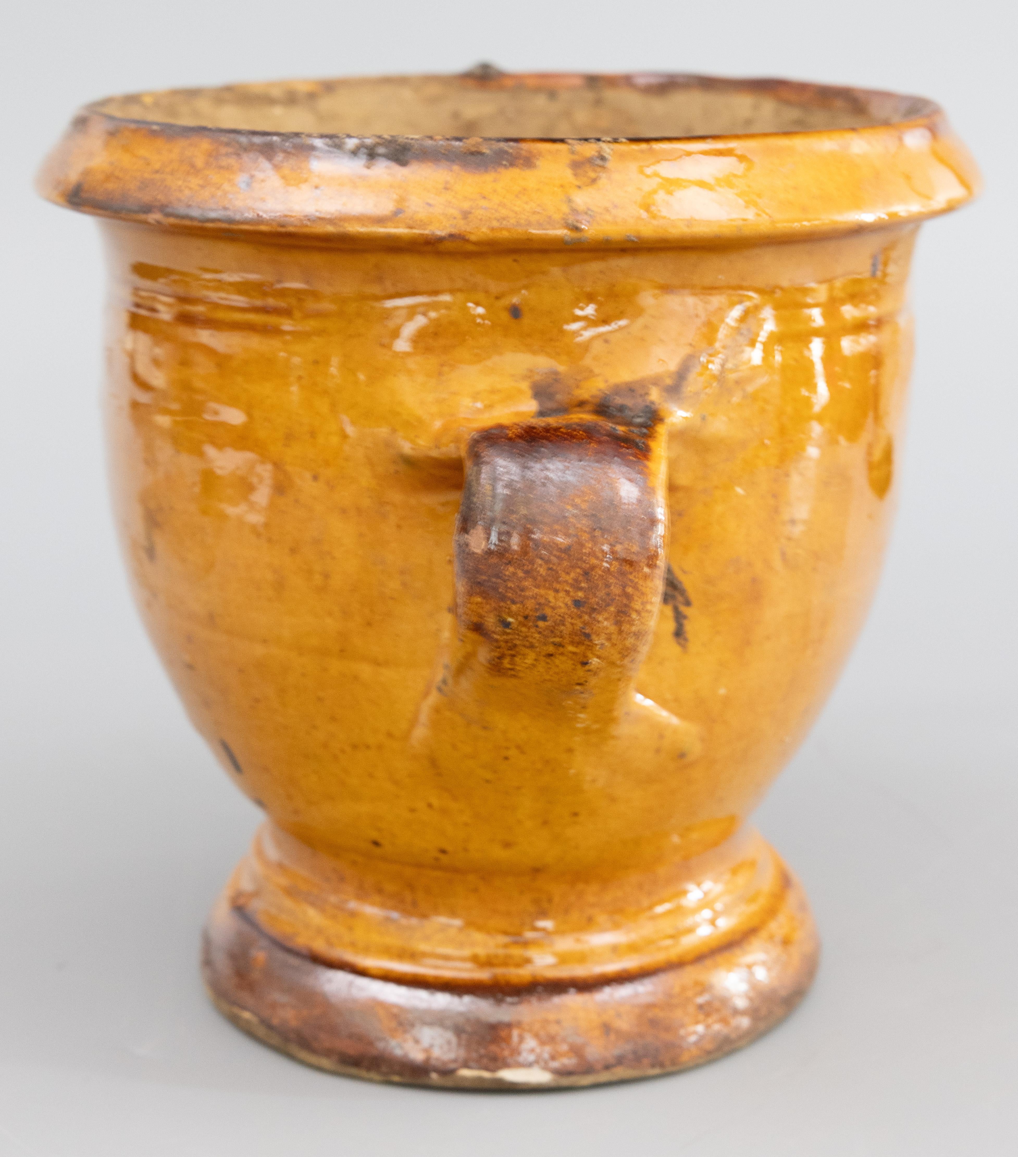 19th Century French Ocher Yellow Glazed Terracotta Planter Jardiniere Confit Pot In Good Condition In Pearland, TX