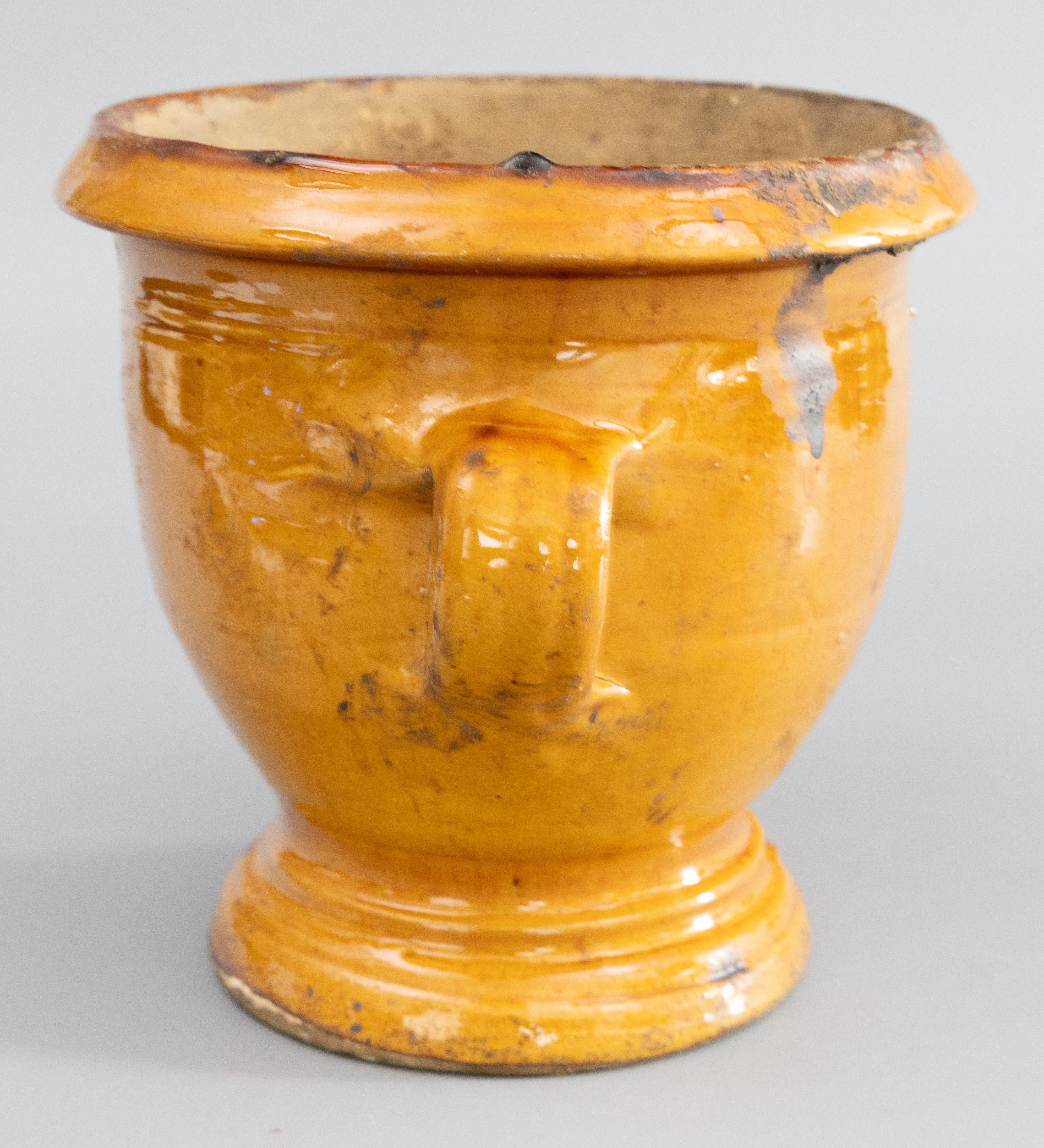 19th Century French Ocher Yellow Glazed Terracotta Planter Jardiniere Confit Pot 1
