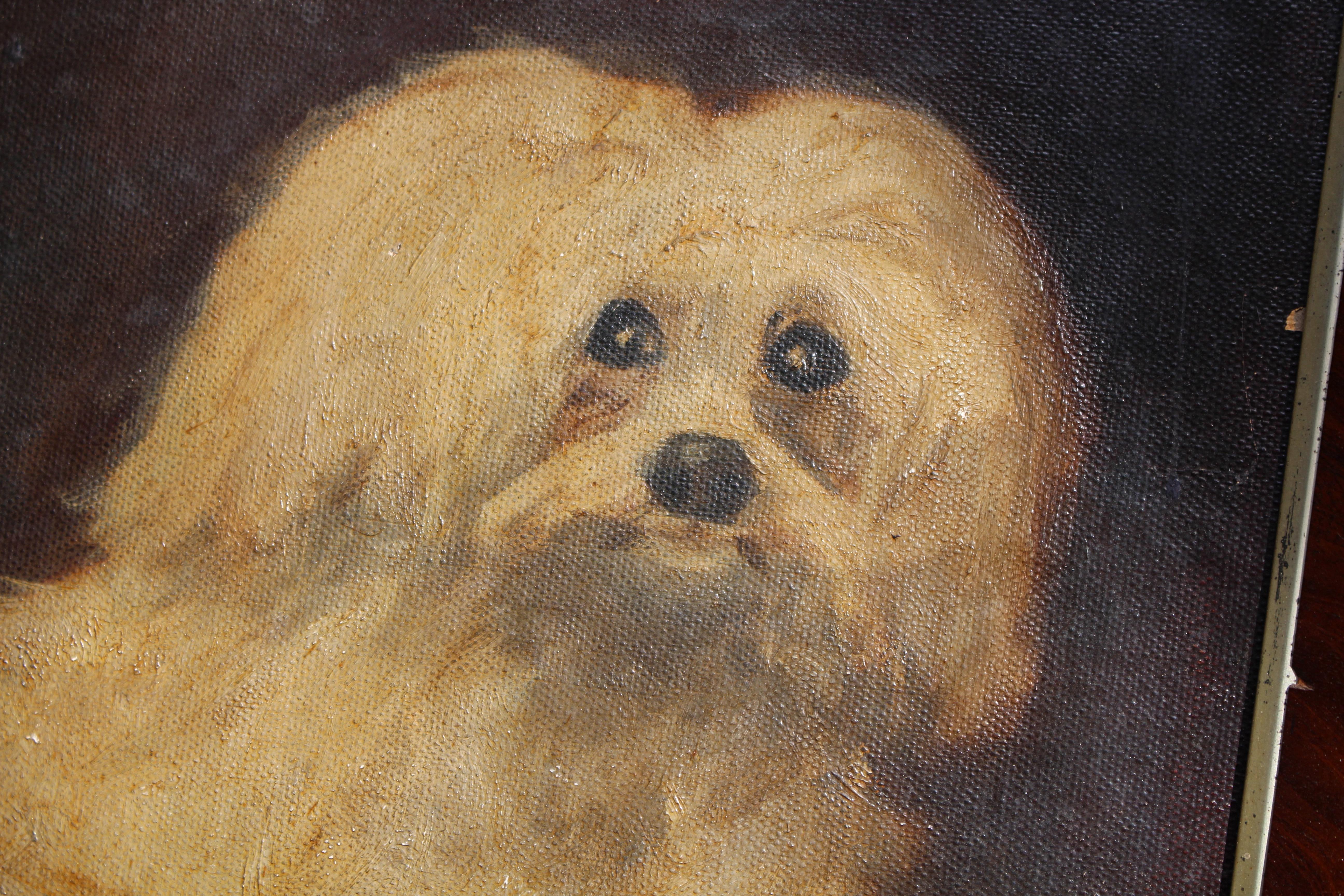 19th Century French Oil on Canvas Coton De Tulear Dog Portrait For Sale 7