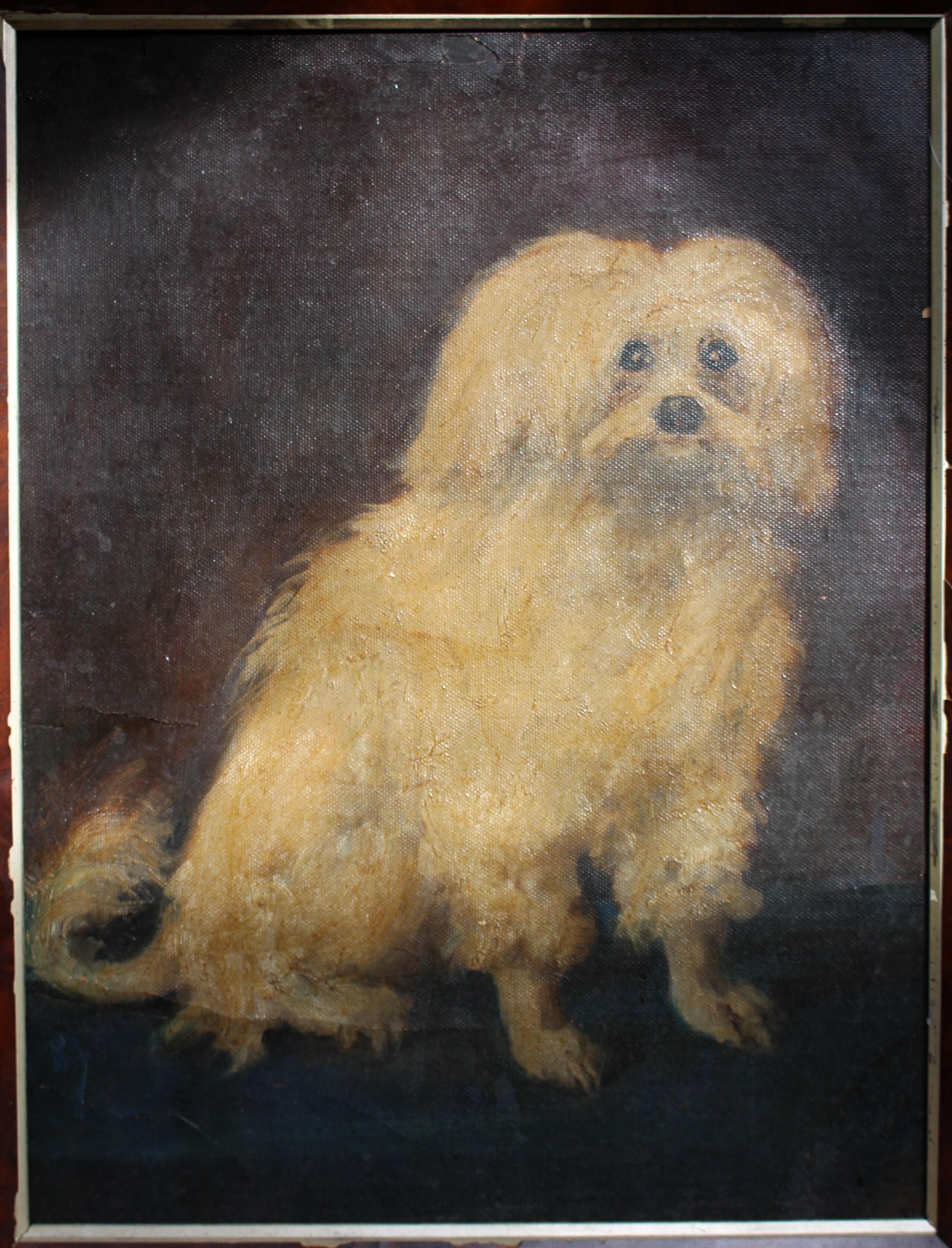 19th Century French Oil on Canvas Coton De Tulear Dog Portrait For Sale 8