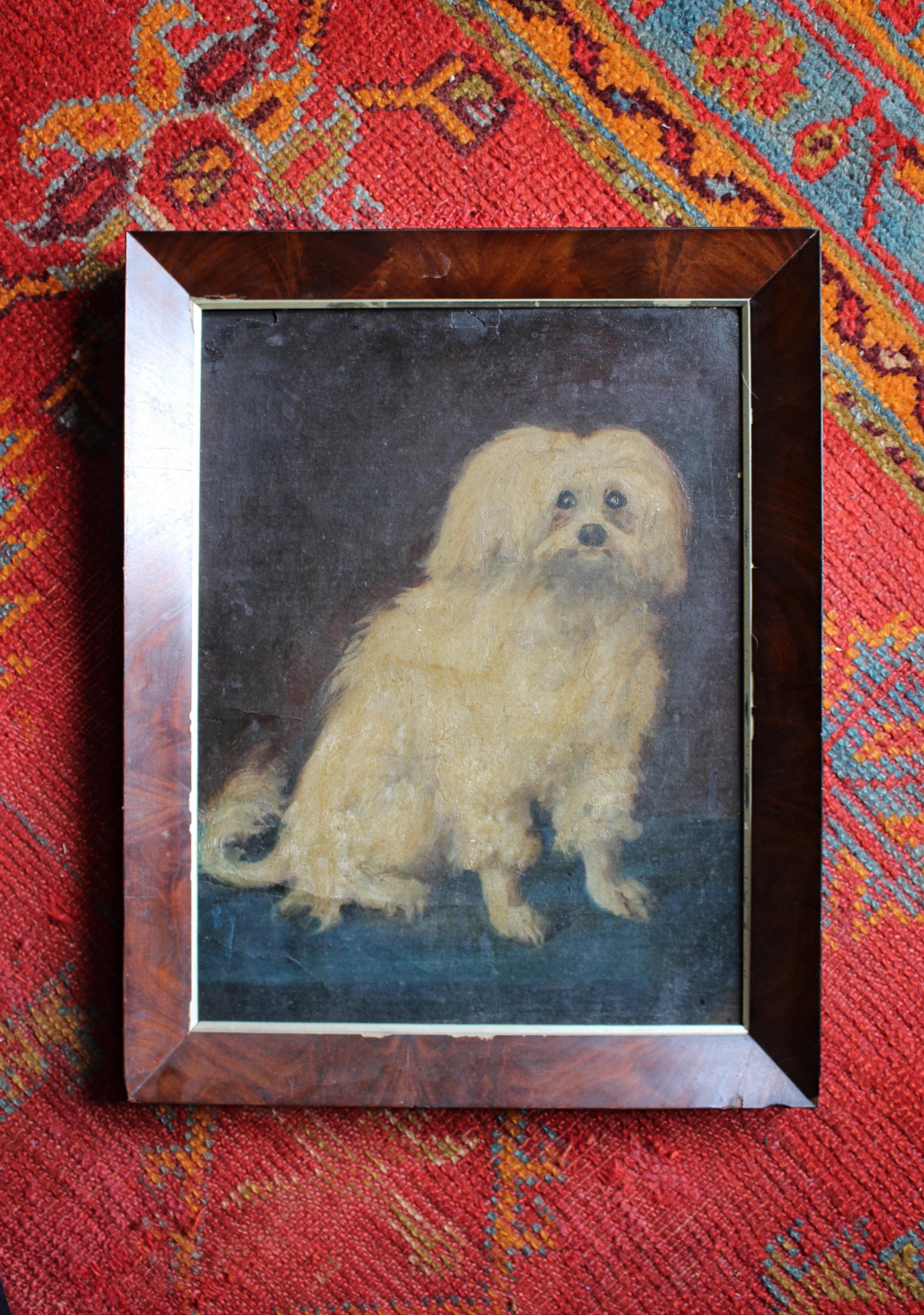 19th Century French Oil on Canvas Coton De Tulear Dog Portrait For Sale 10