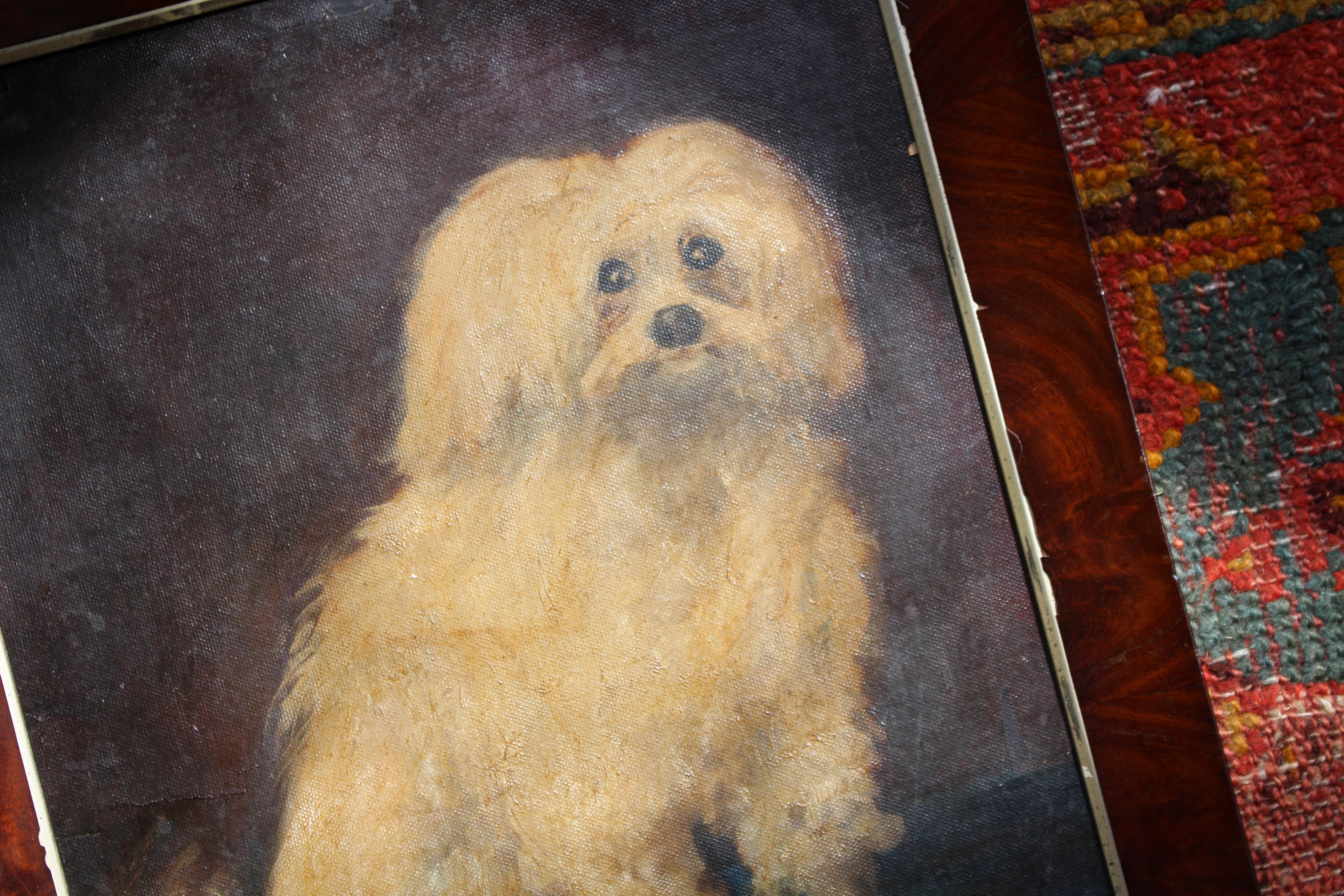 19th Century French Oil on Canvas Coton De Tulear Dog Portrait For Sale 6