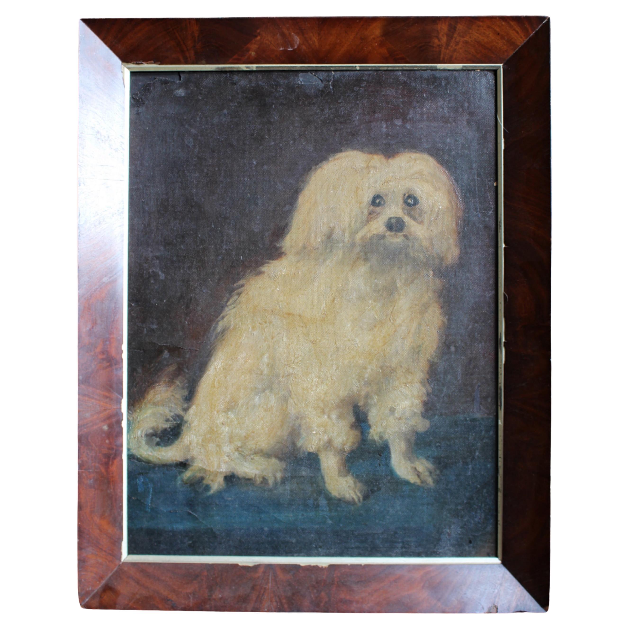 19th Century French Oil on Canvas Coton De Tulear Dog Portrait For Sale