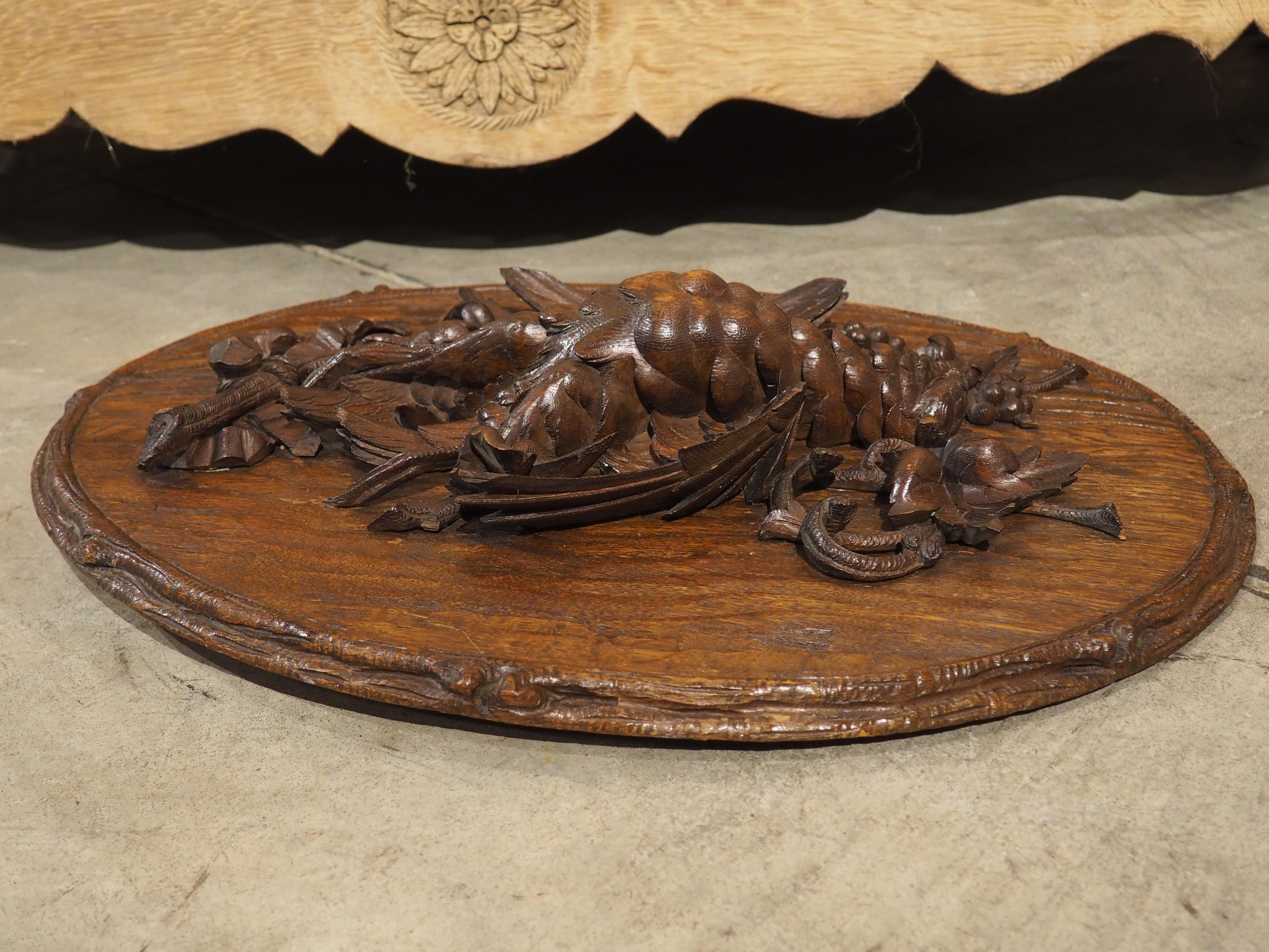 19th Century French Oval Black Forest Game Plaque with Bark Trompe L’Oeil For Sale 11