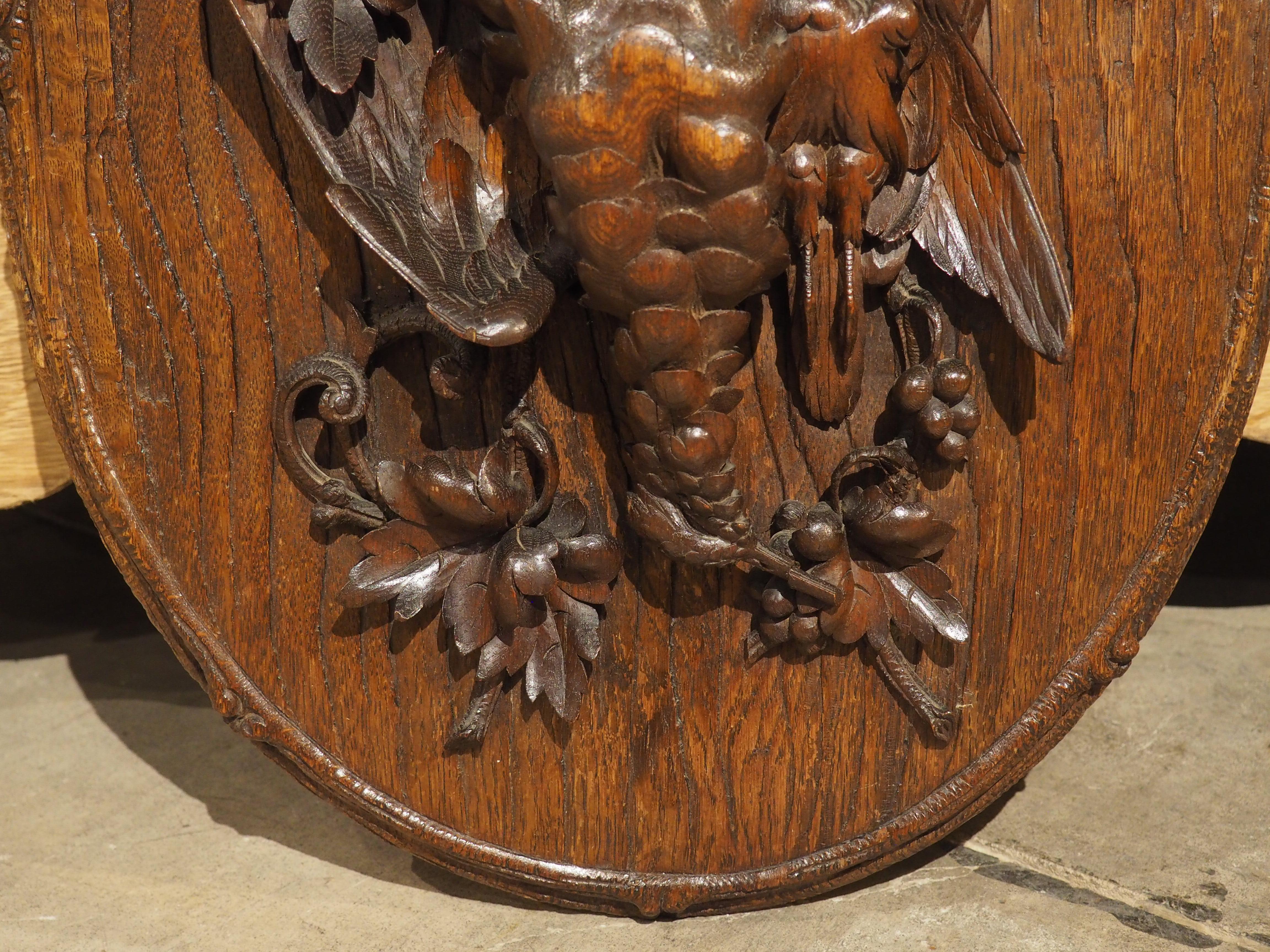 19th Century French Oval Black Forest Game Plaque with Bark Trompe L’Oeil In Good Condition For Sale In Dallas, TX