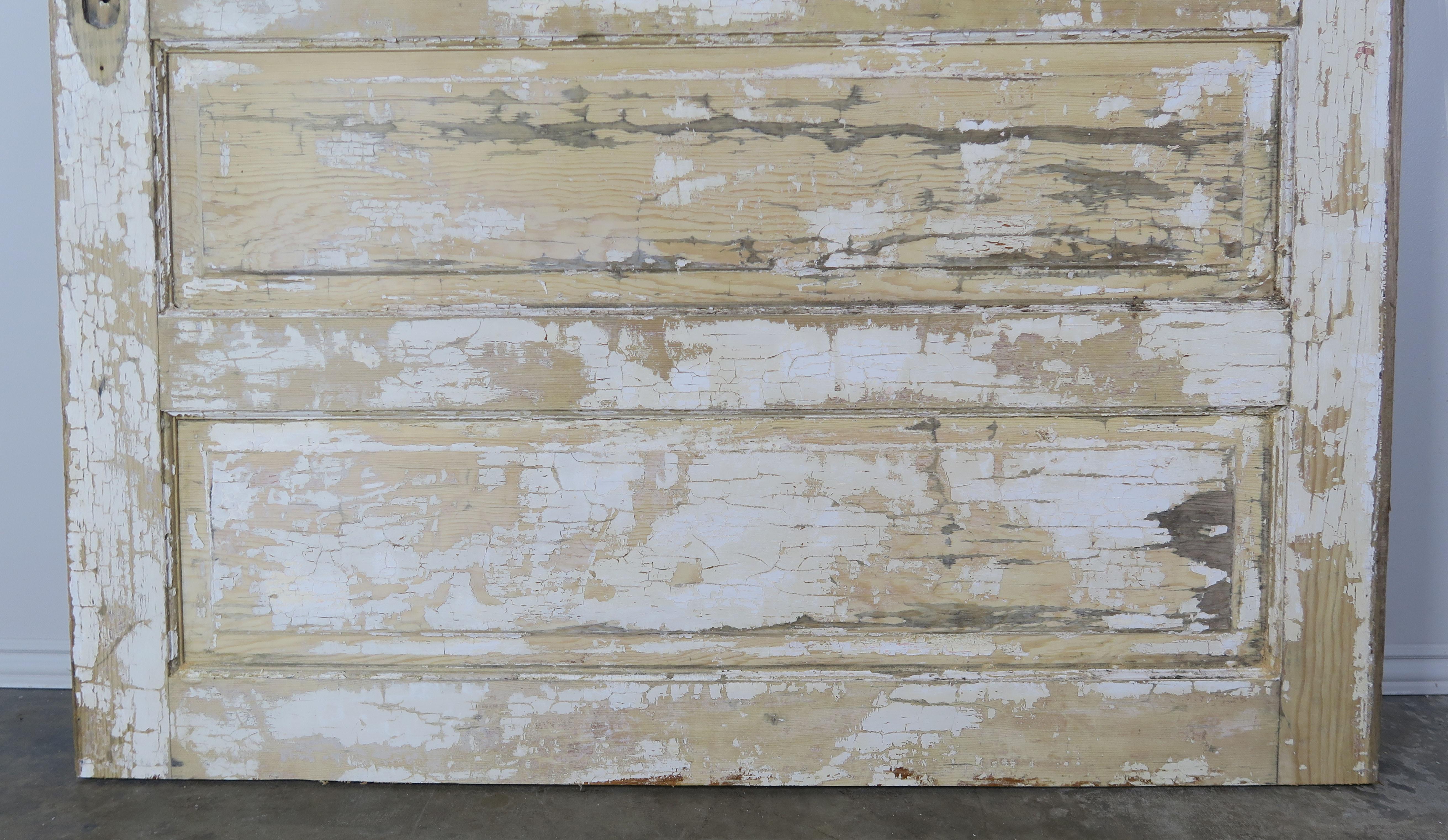 Wood 19th Century French Painted Barn Door For Sale